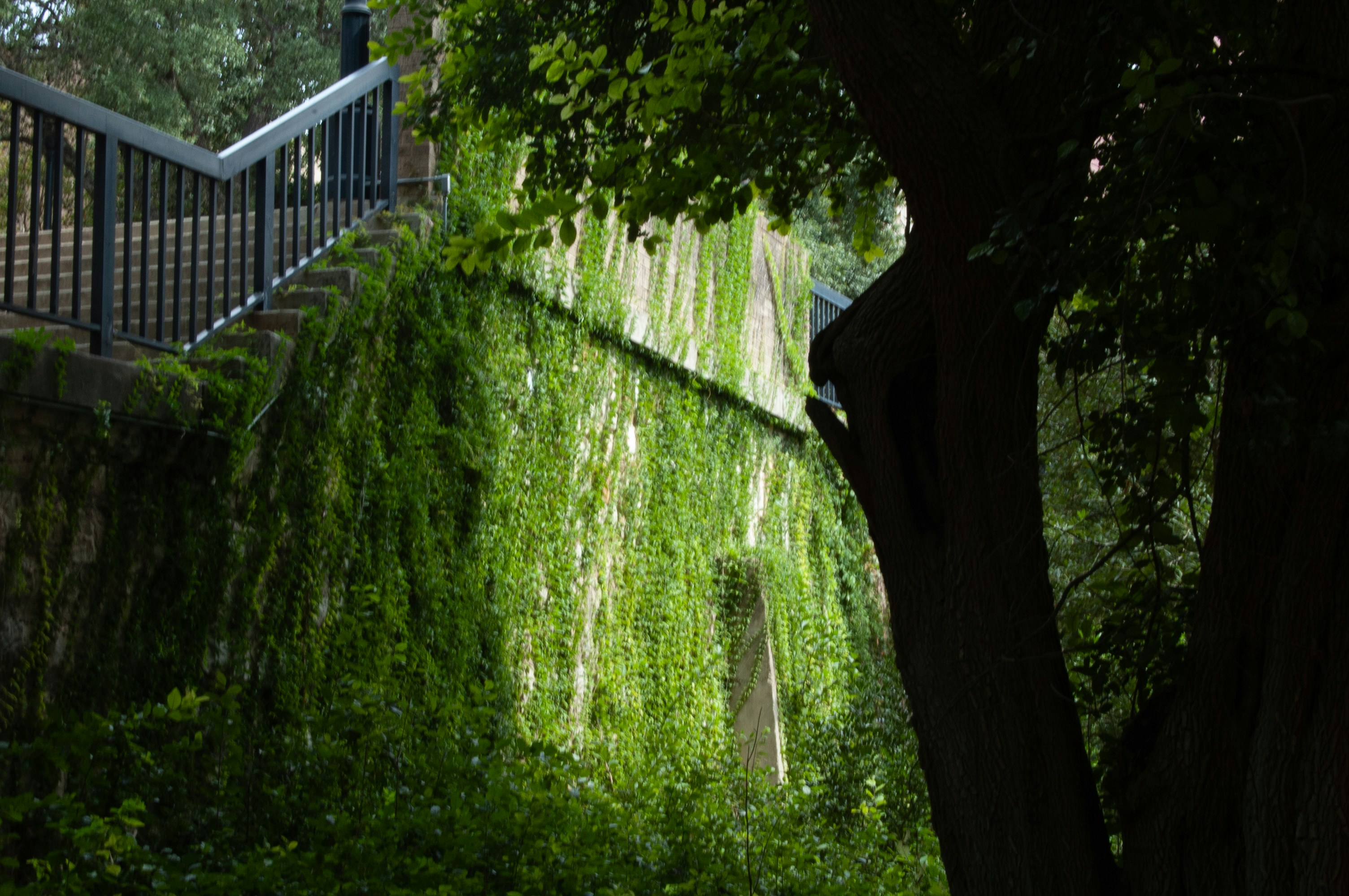 Photo by morgan_caviness