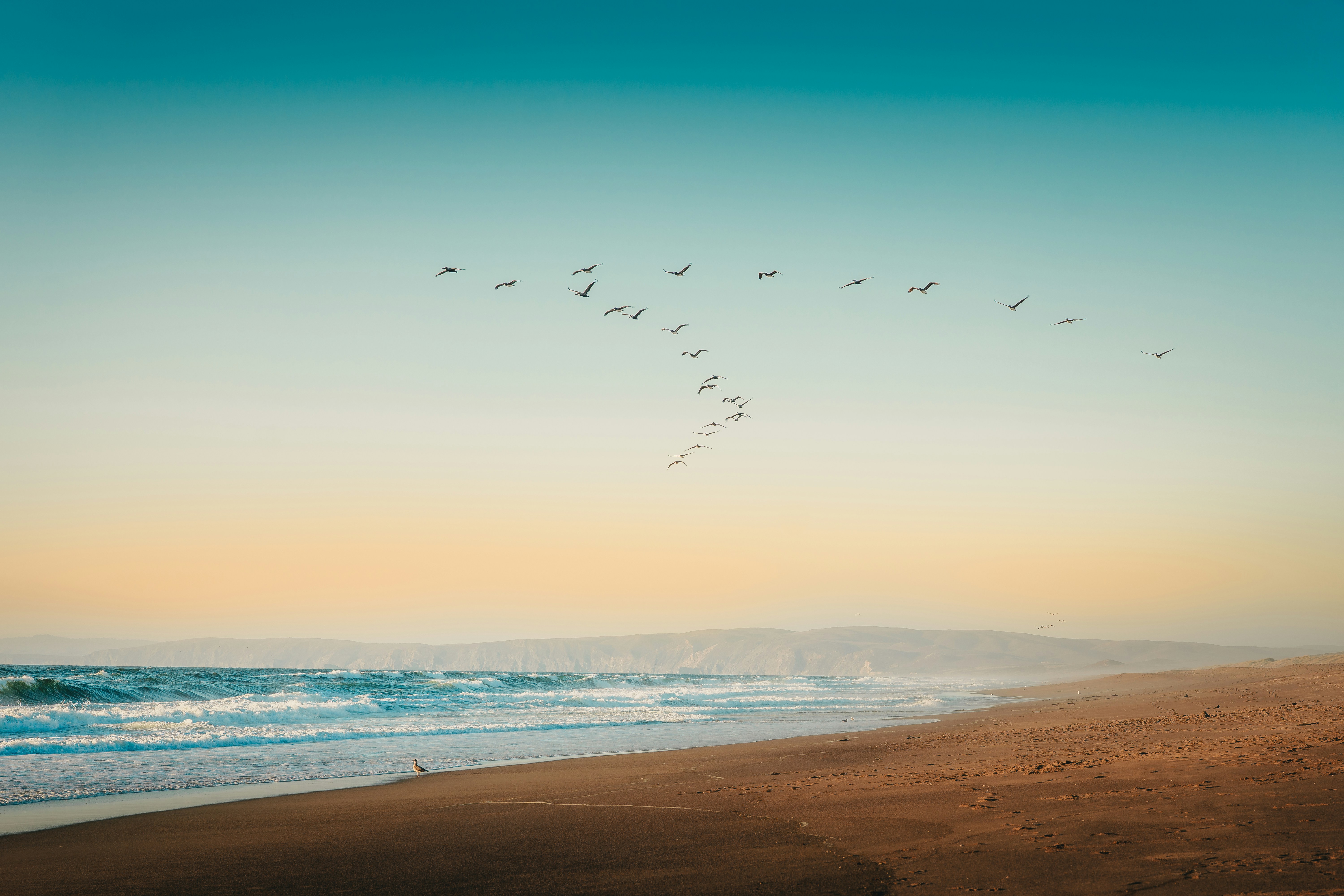 Photo by sachin_sandhu