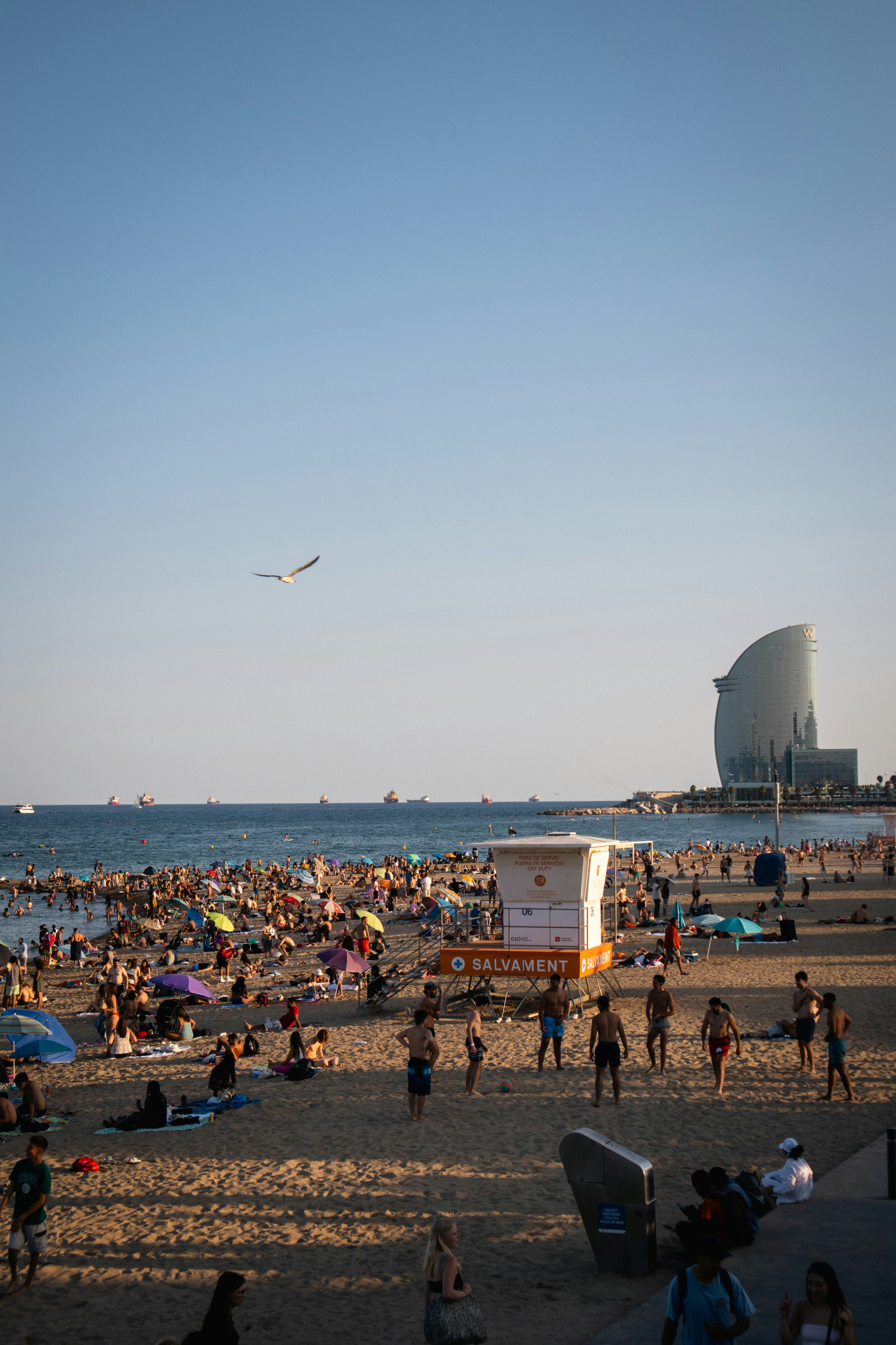 Crowded beach with people sunbathing and swimming.