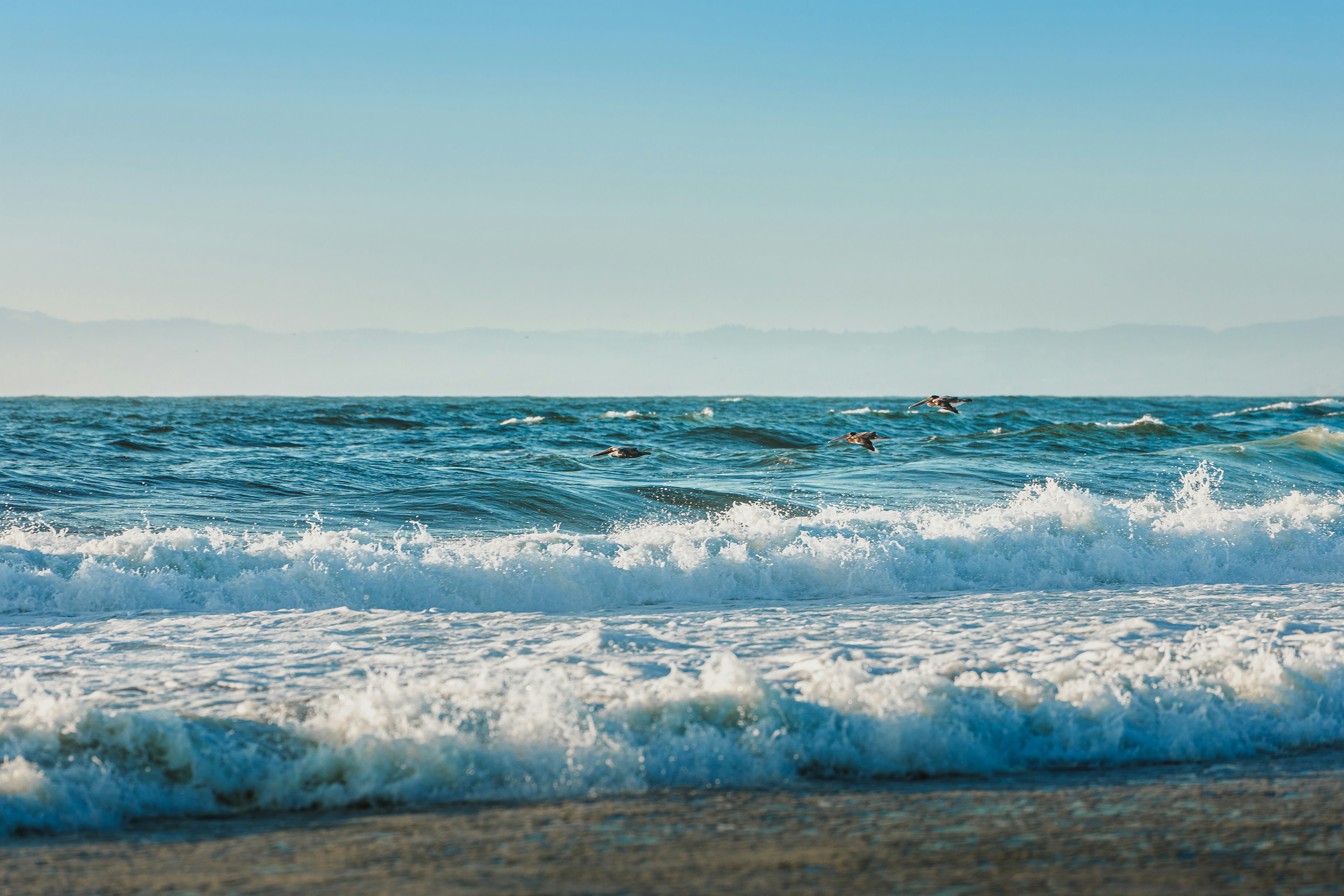 Photo by sachin_sandhu