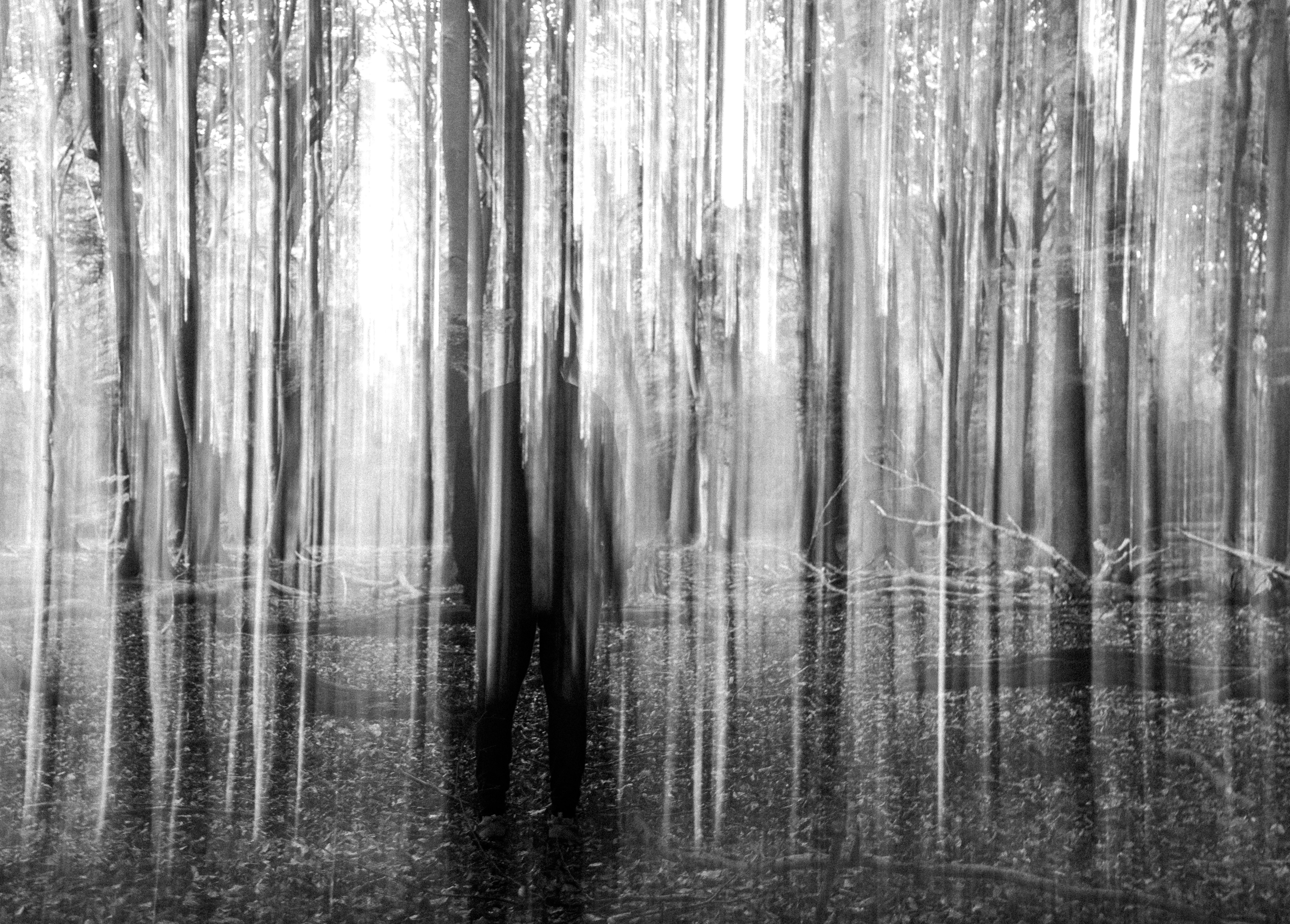 Abstract black and white forest with blurred trees.