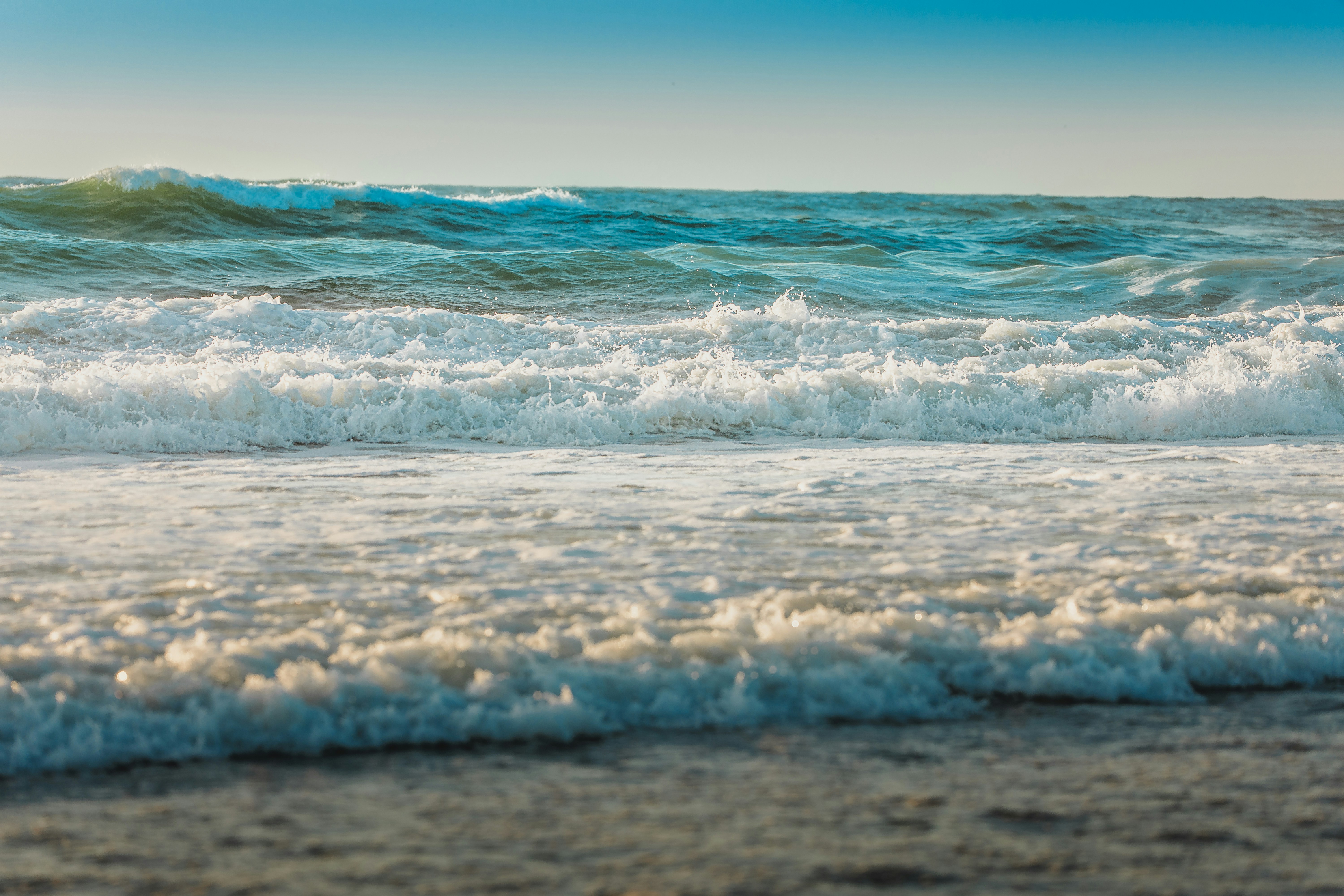 Photo by sachin_sandhu