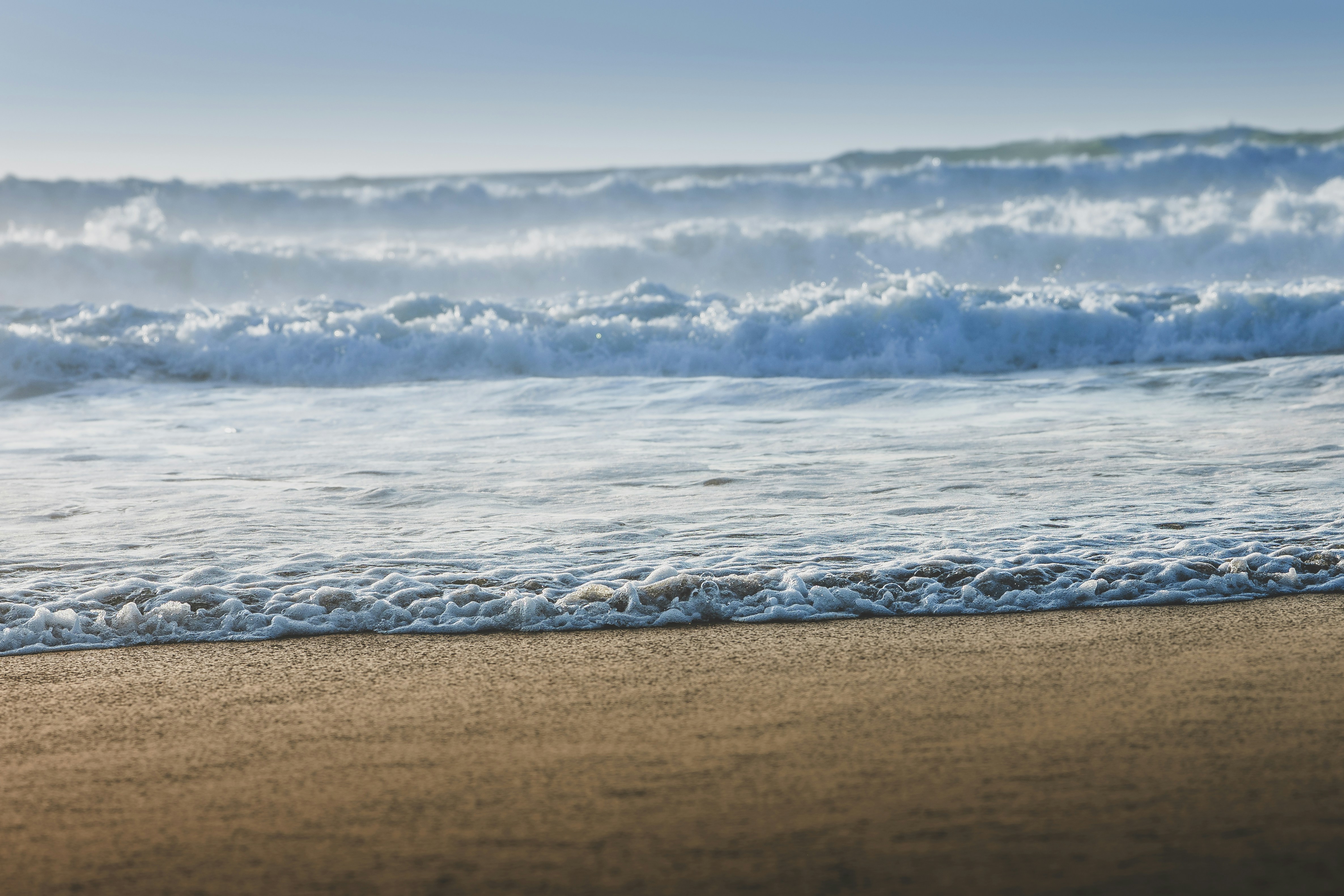 Photo by sachin_sandhu