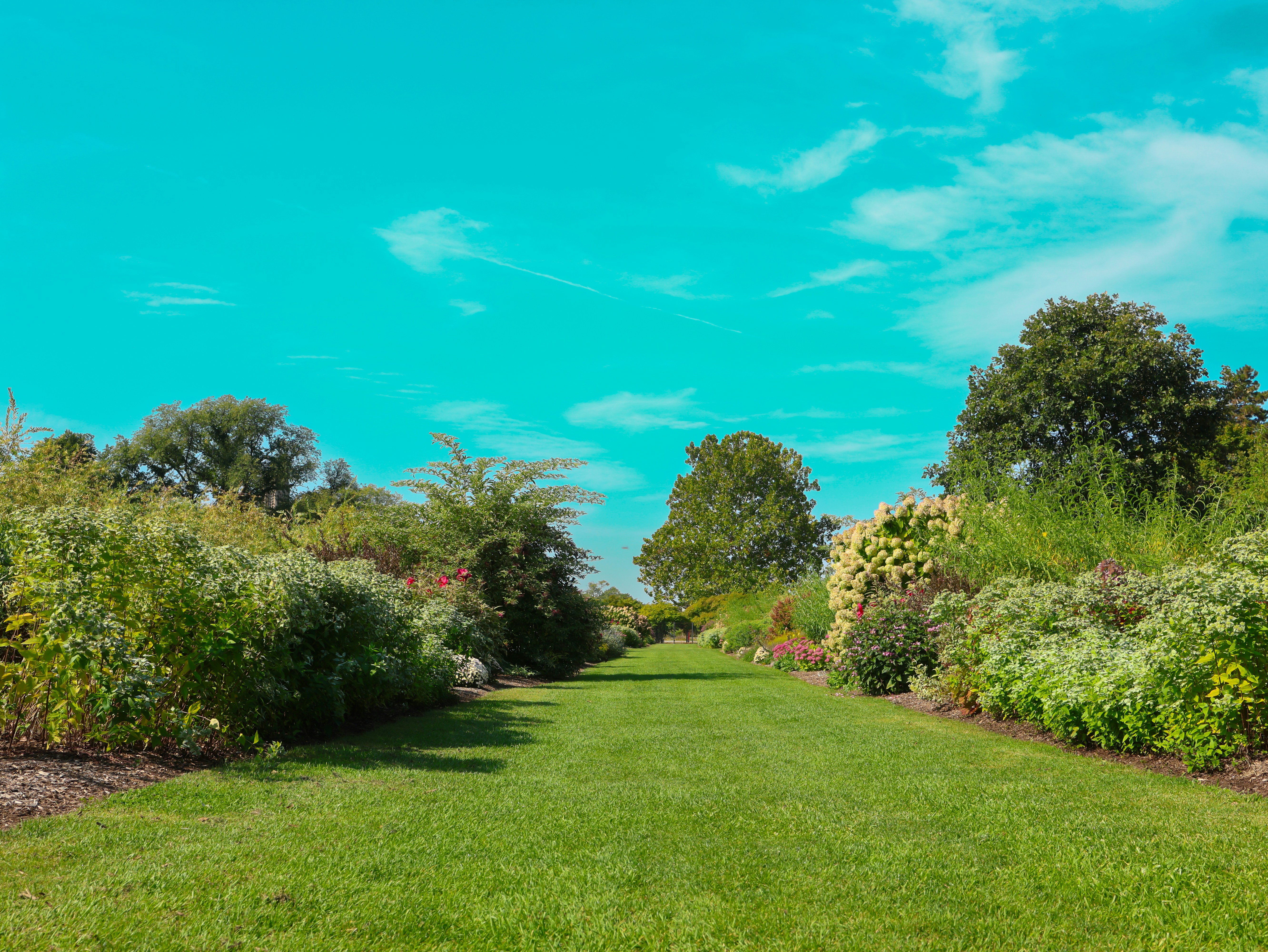 Lush green lawn leading through a vibrant garden.