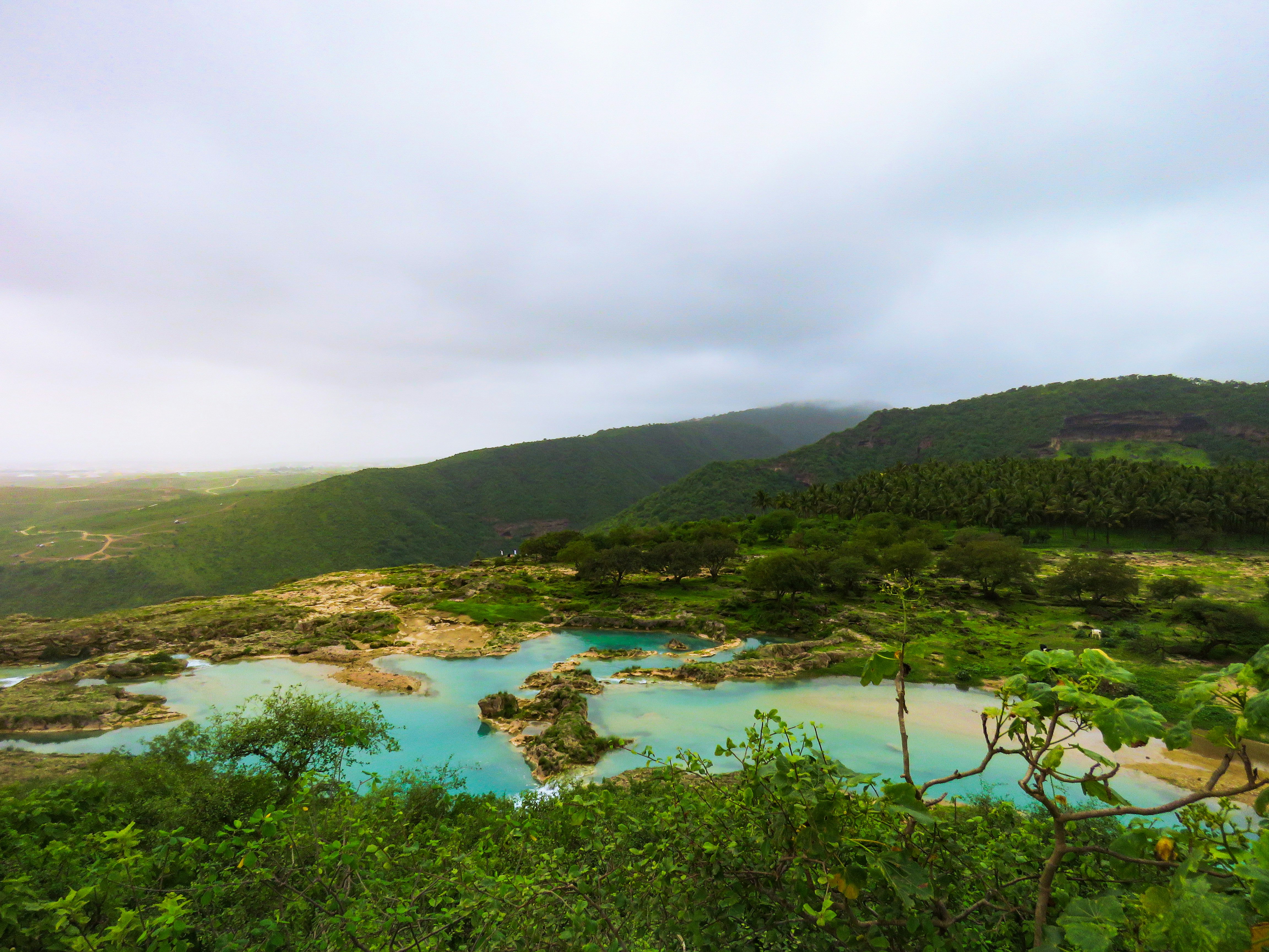 Perkembangan Cybersecurity yang Mencengangkan di Tahun Ini