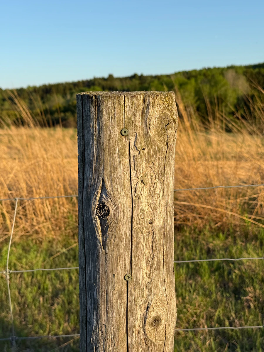 Weathered wood fence post in a field