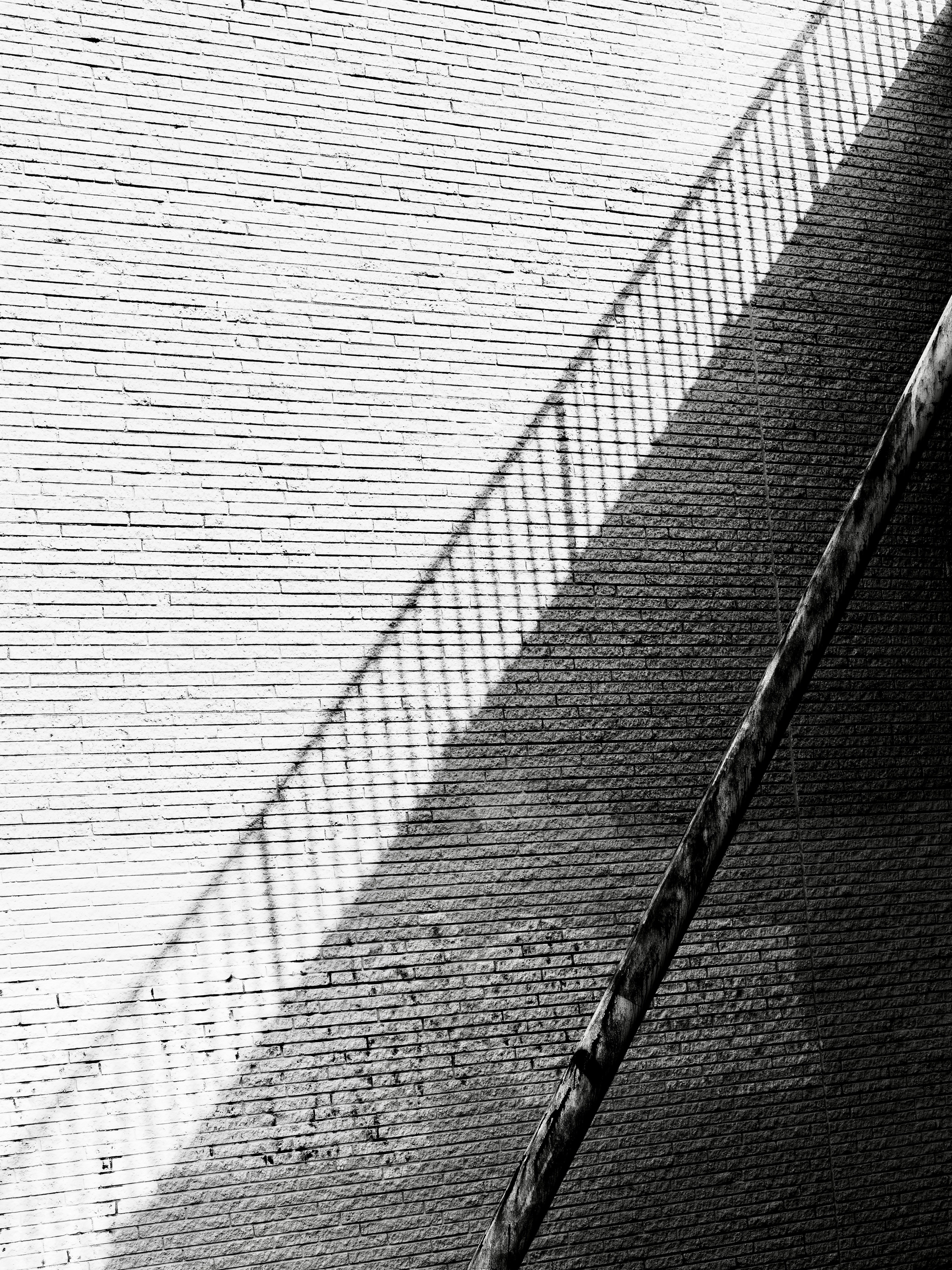 Photo by sschusterphotoart