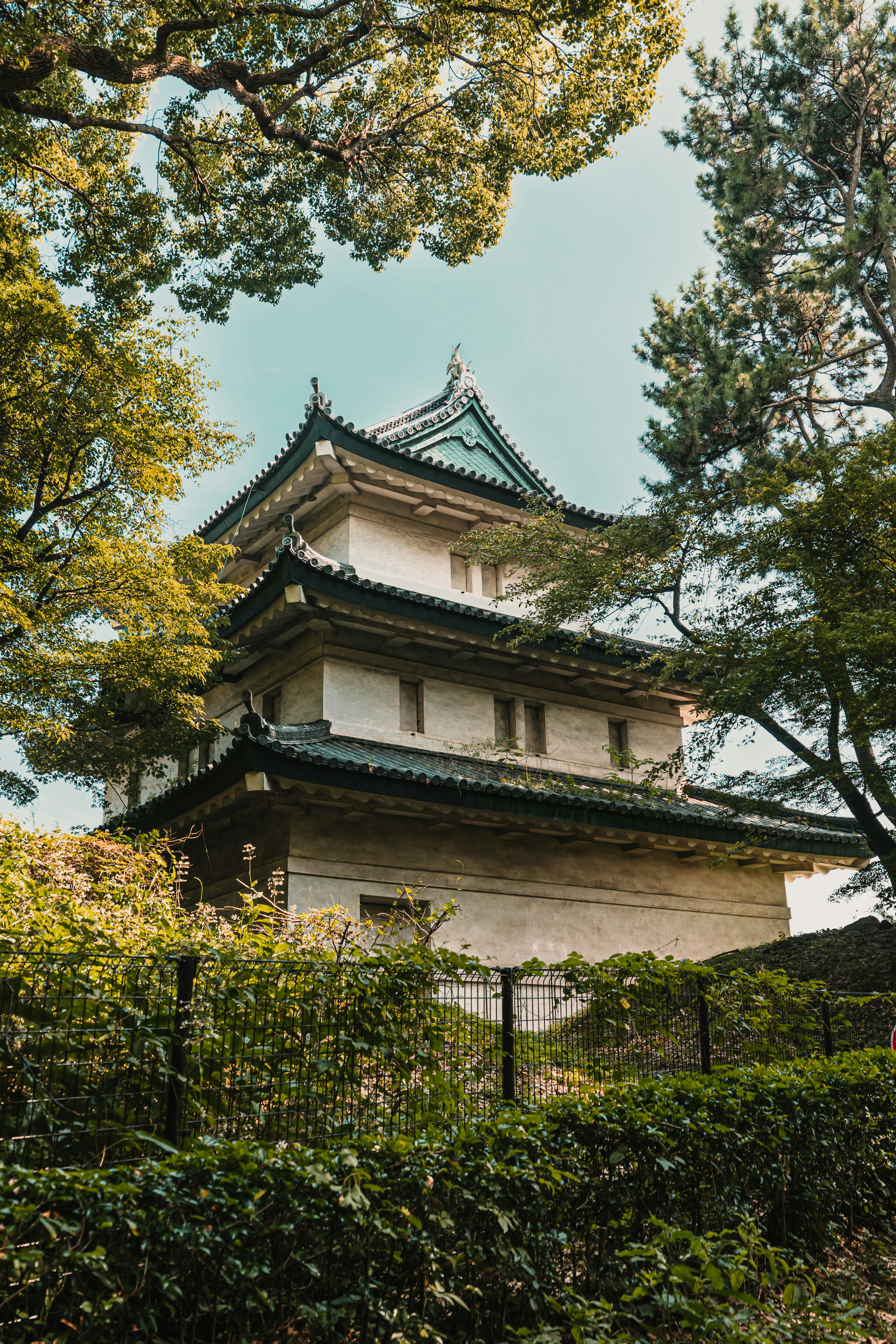 Photo by dariendesigns