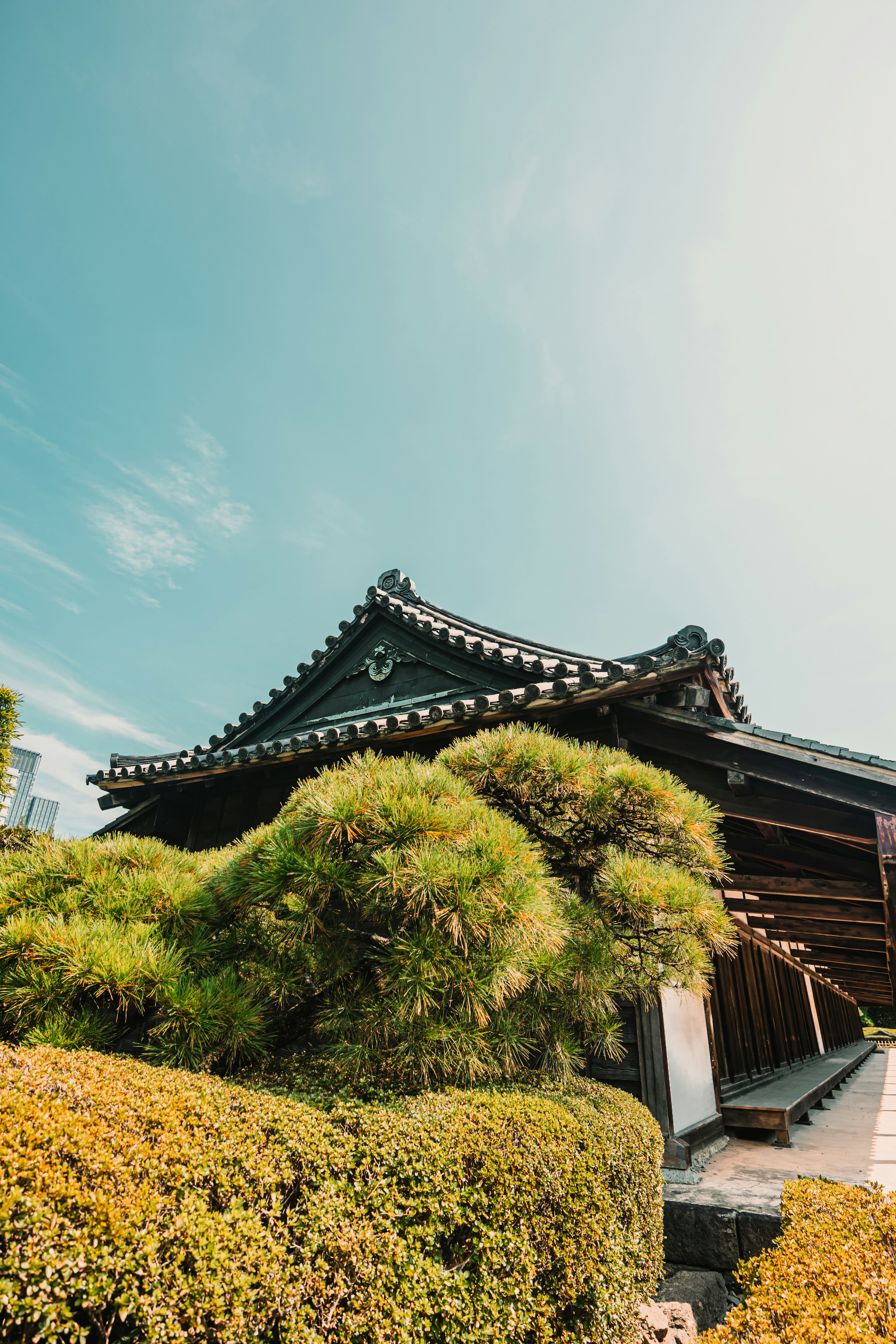 Photo by dariendesigns