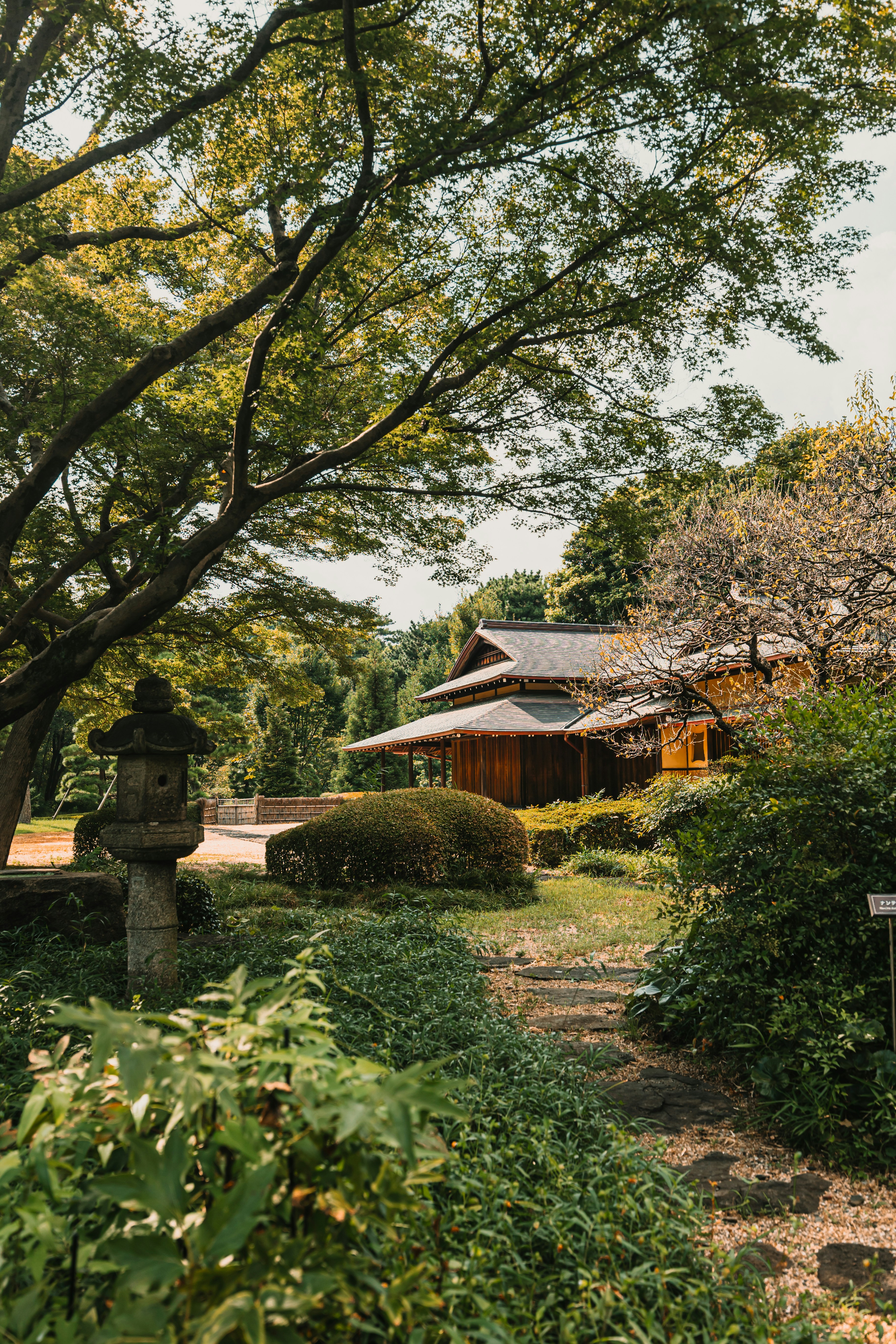 Photo by dariendesigns