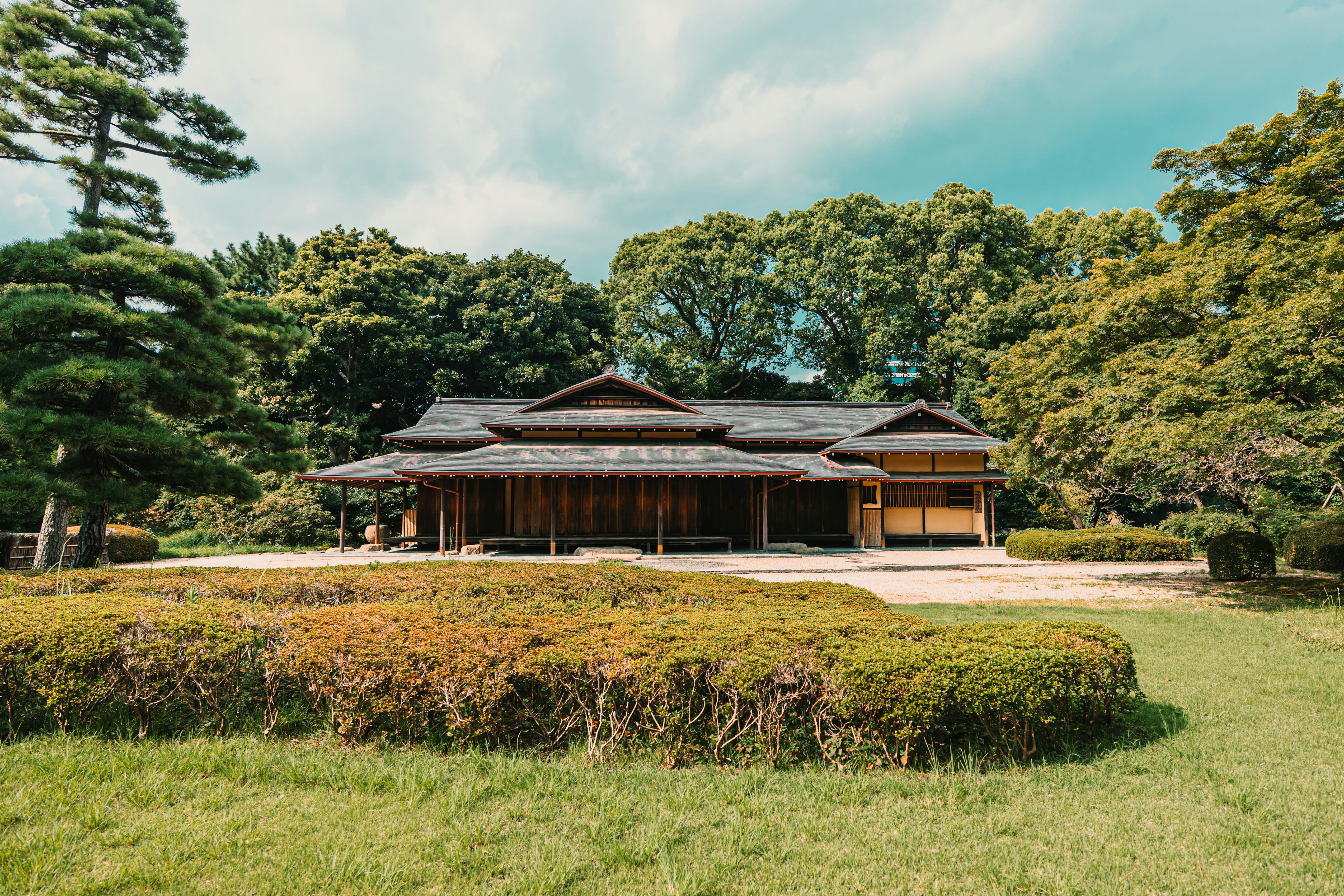 Photo by dariendesigns