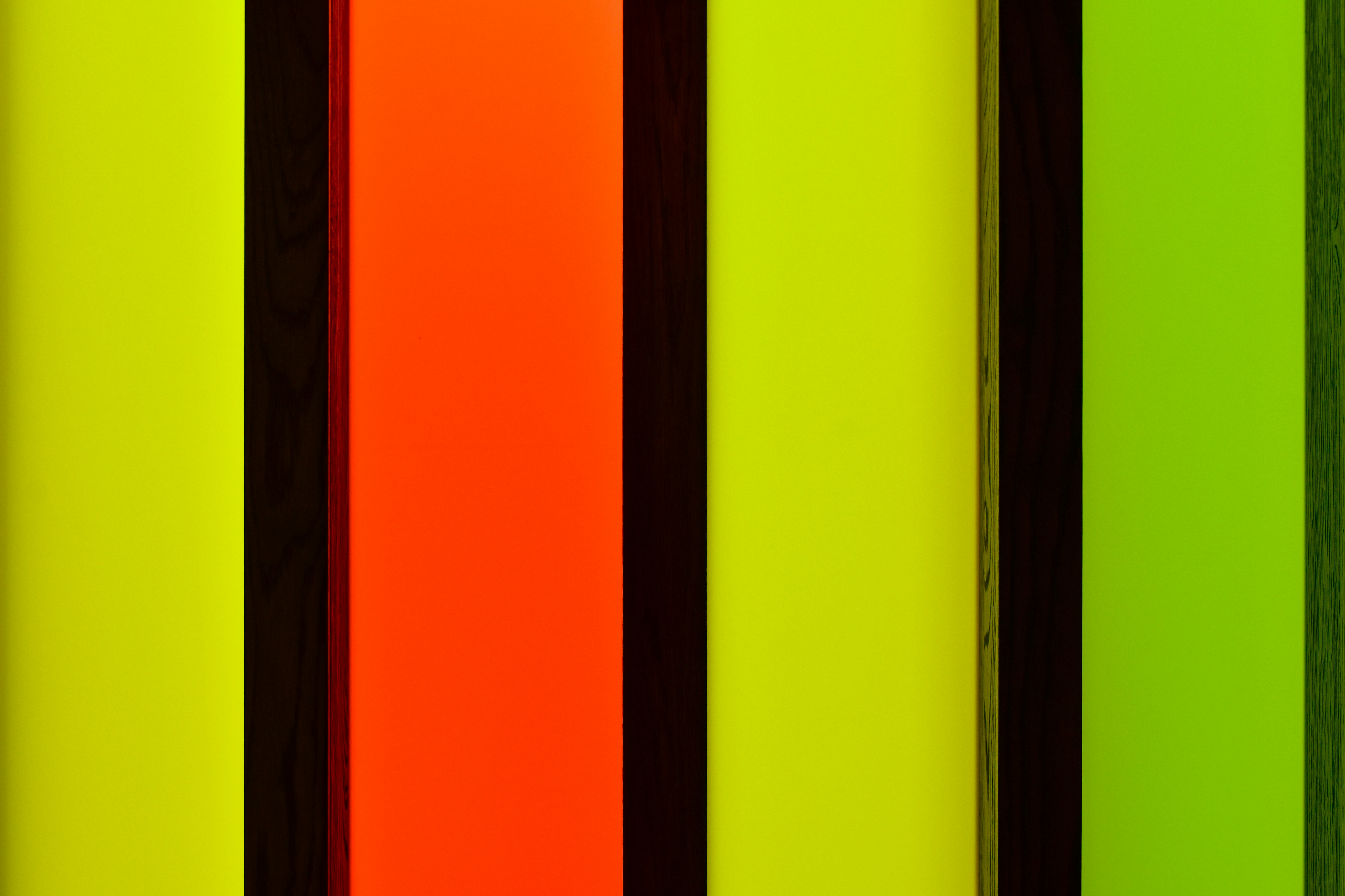 Photo by sschusterphotoart