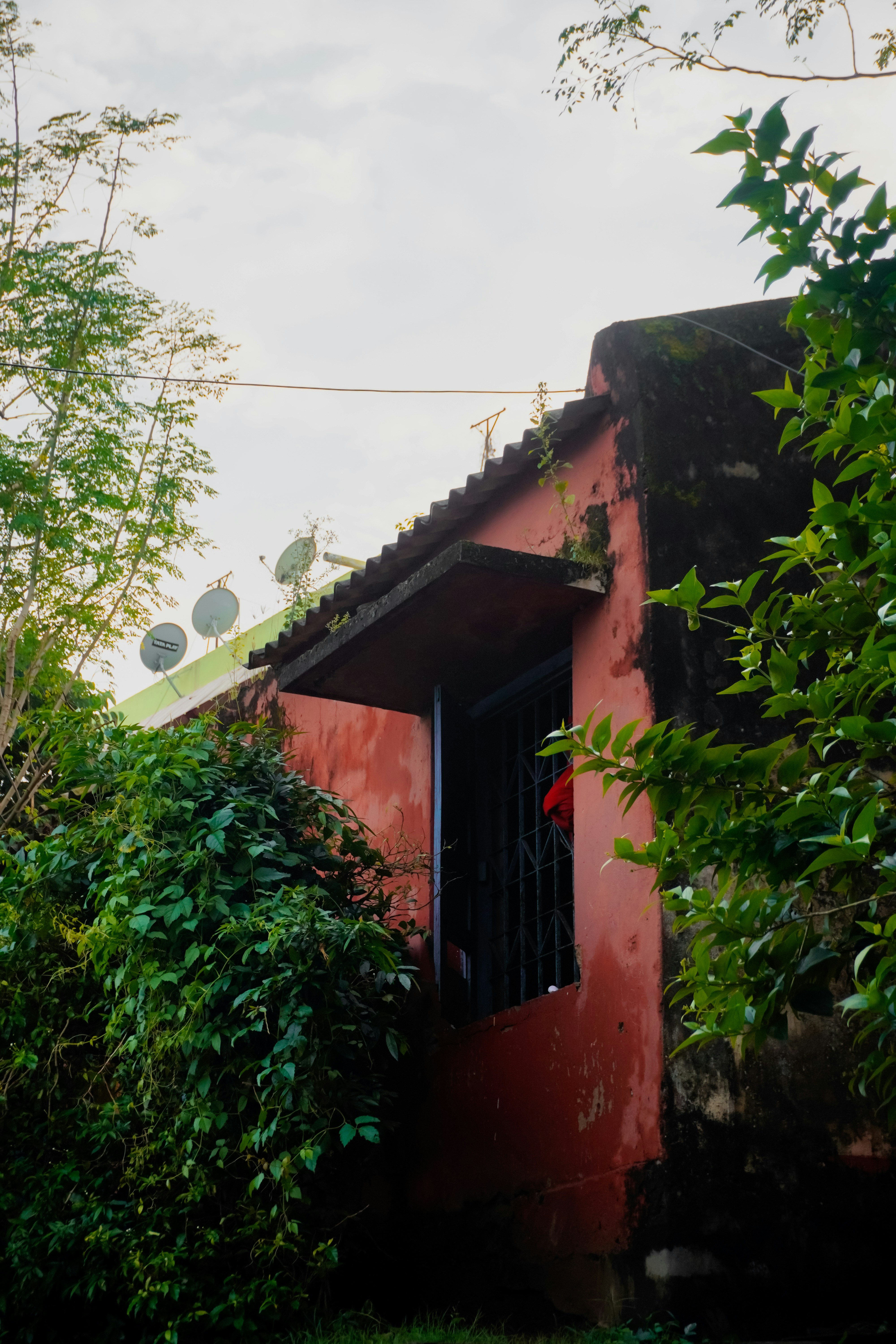 Photo by adhitya_2505