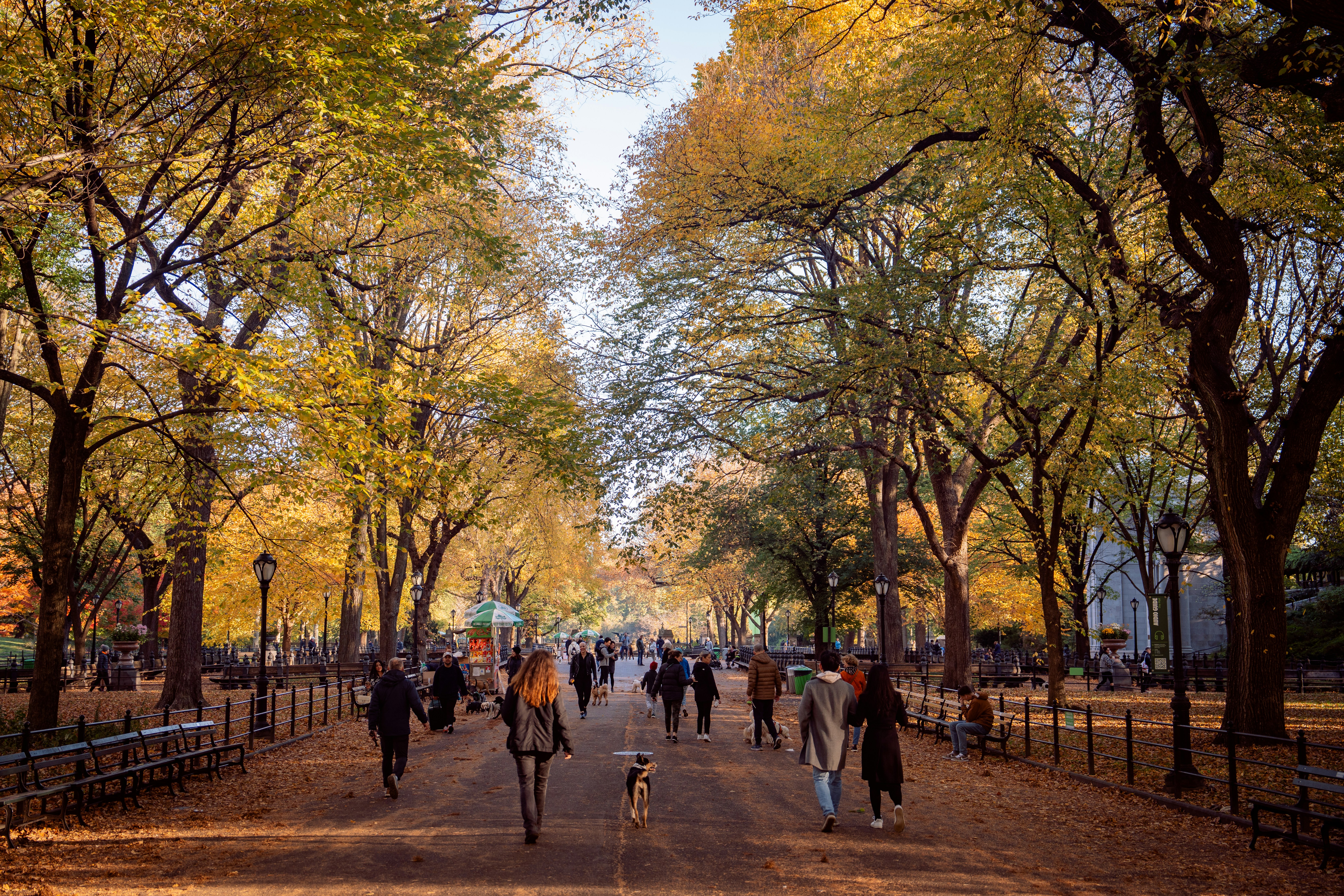 People stroll down a tree-lined path in autumn.