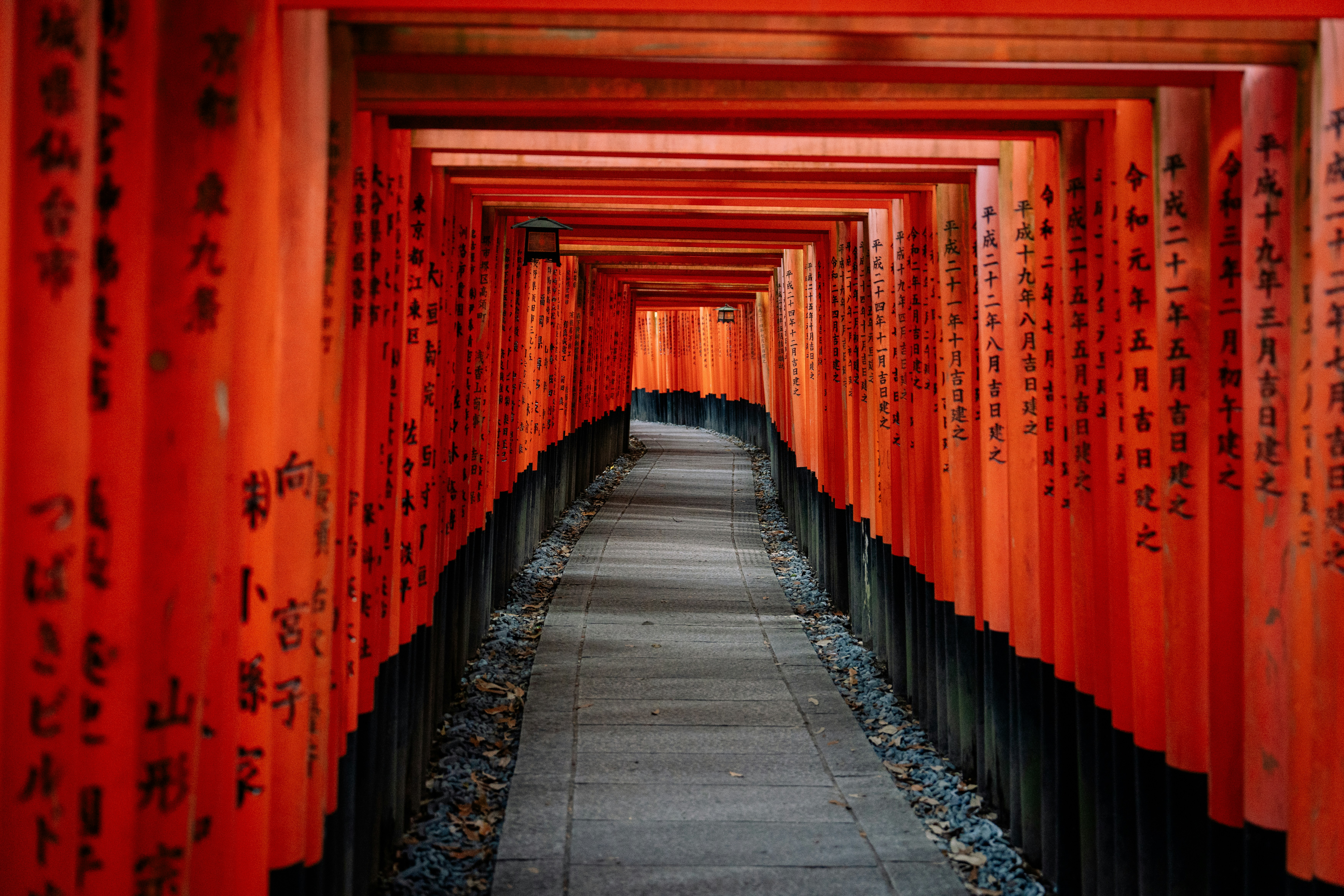 Path through vibrant orange torii gates