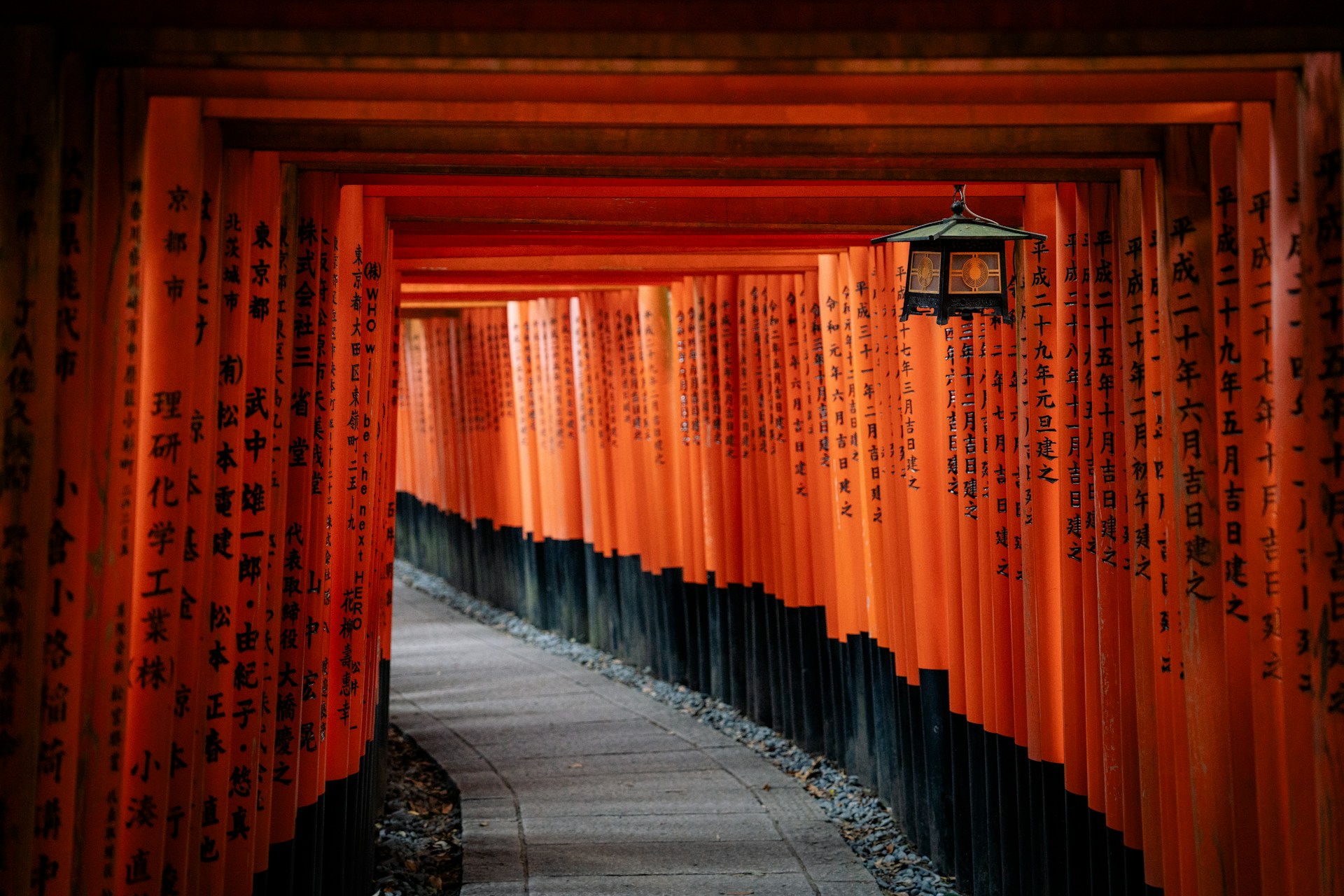 Path through vibrant orange torii gates in japan