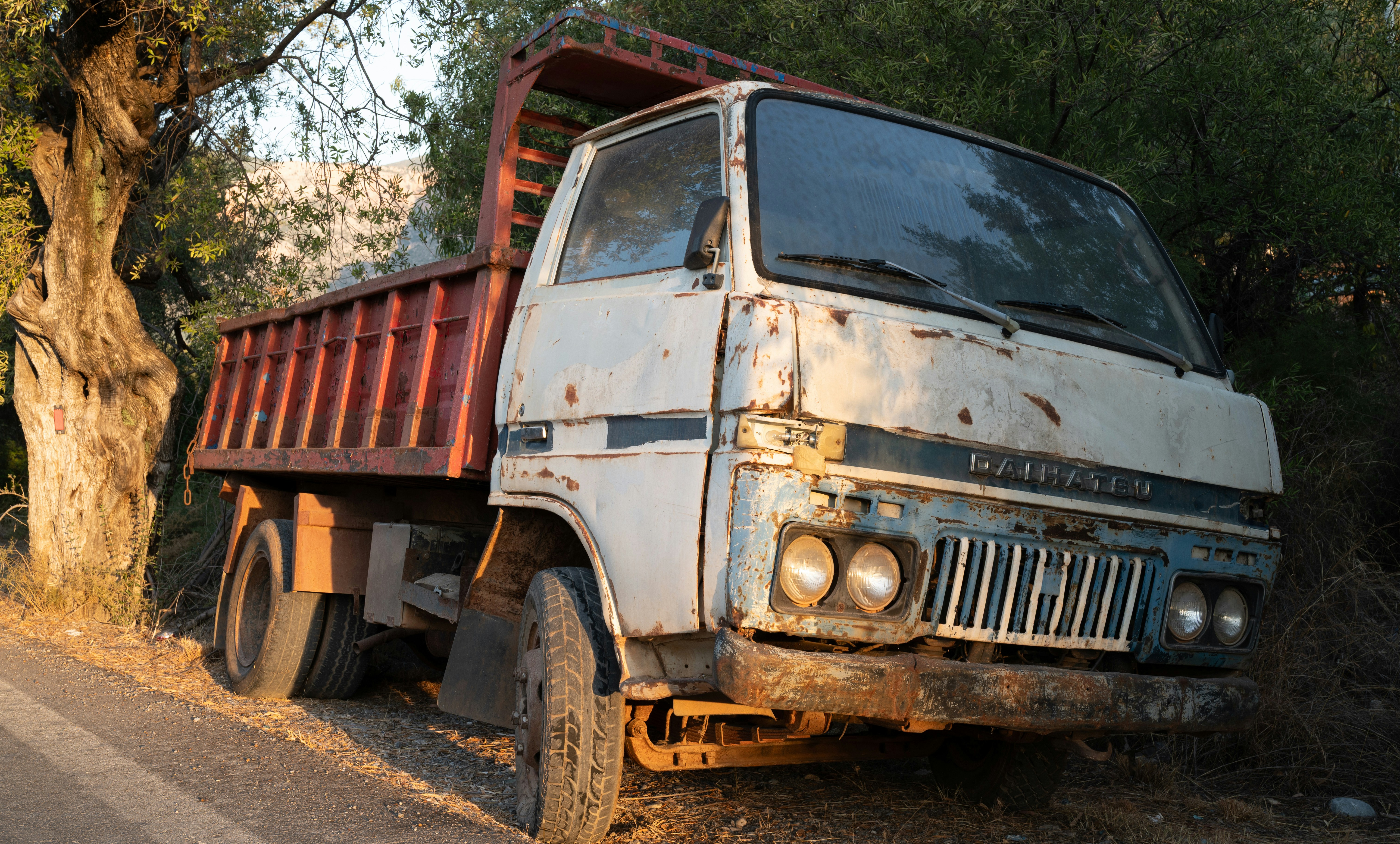 Photo by ruben_aster