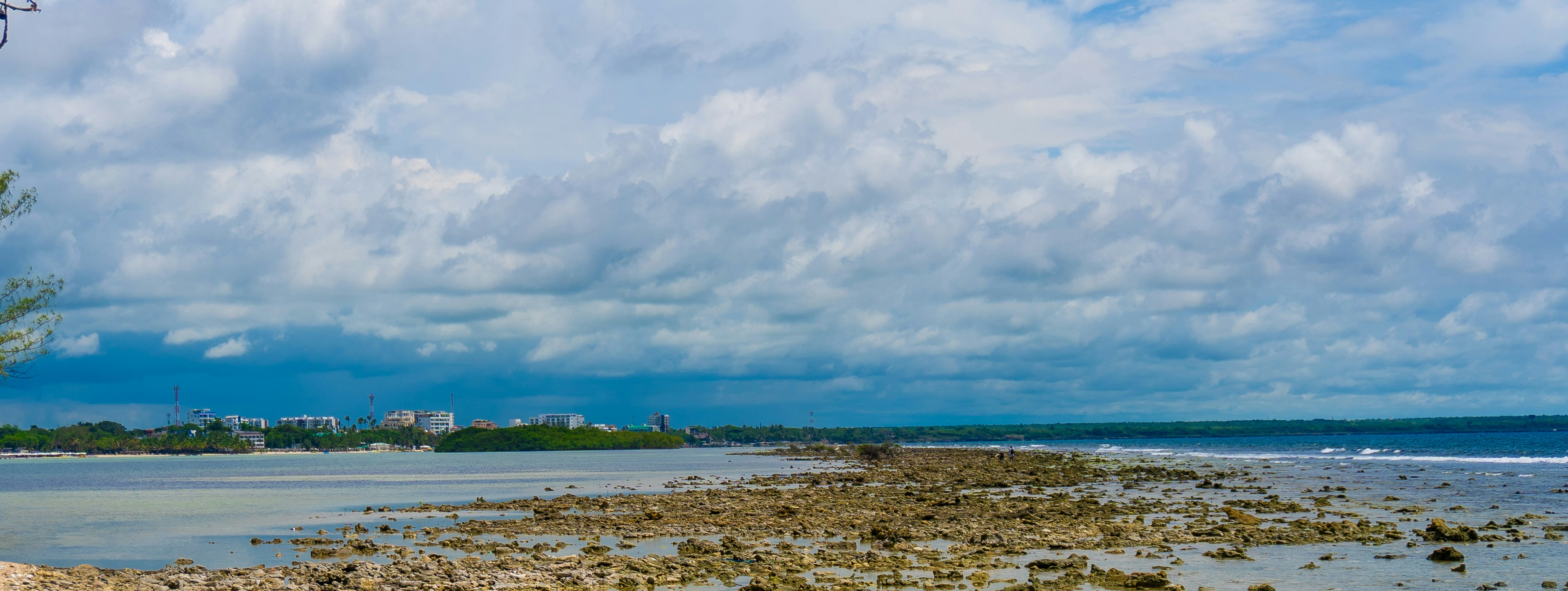 Photo by miguelphoto