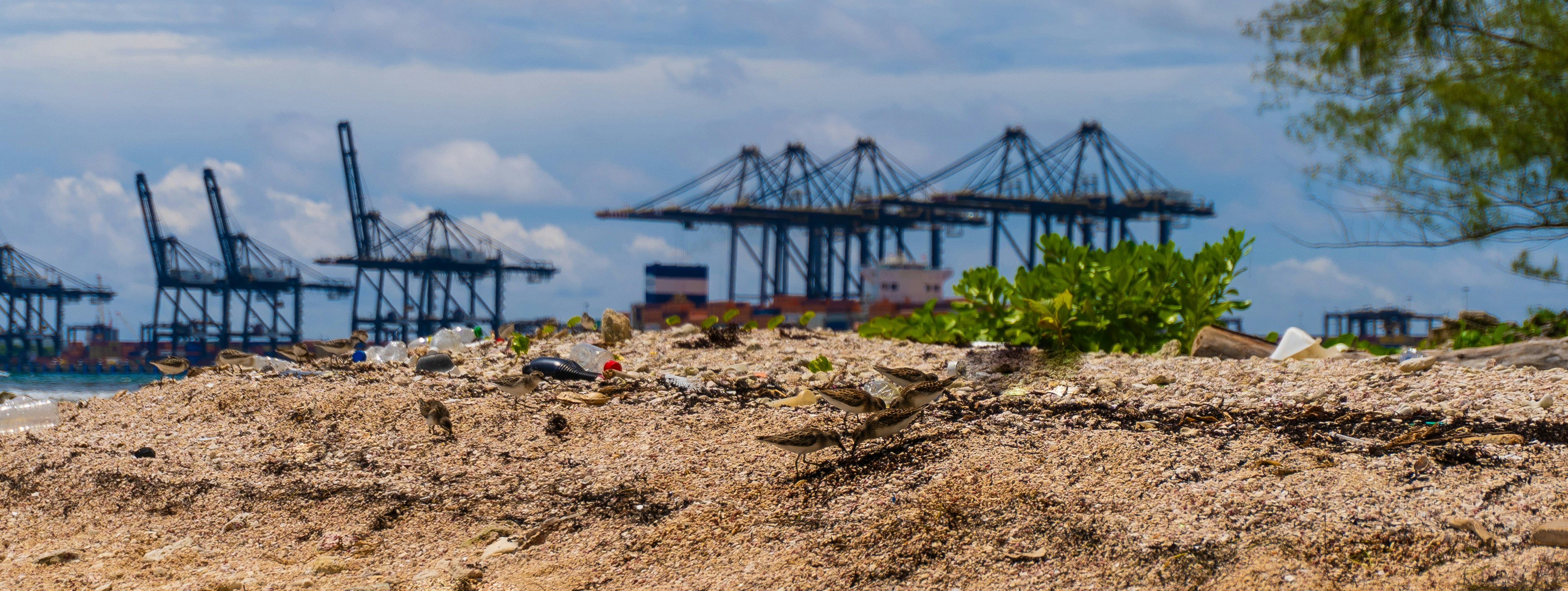 Large industrial cranes stand against a cloudy sky.