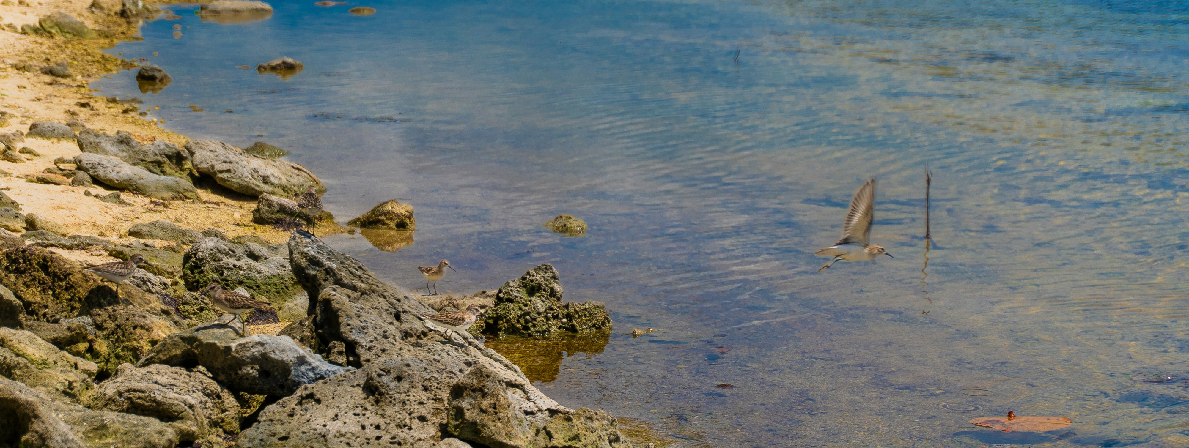 Photo by miguelphoto