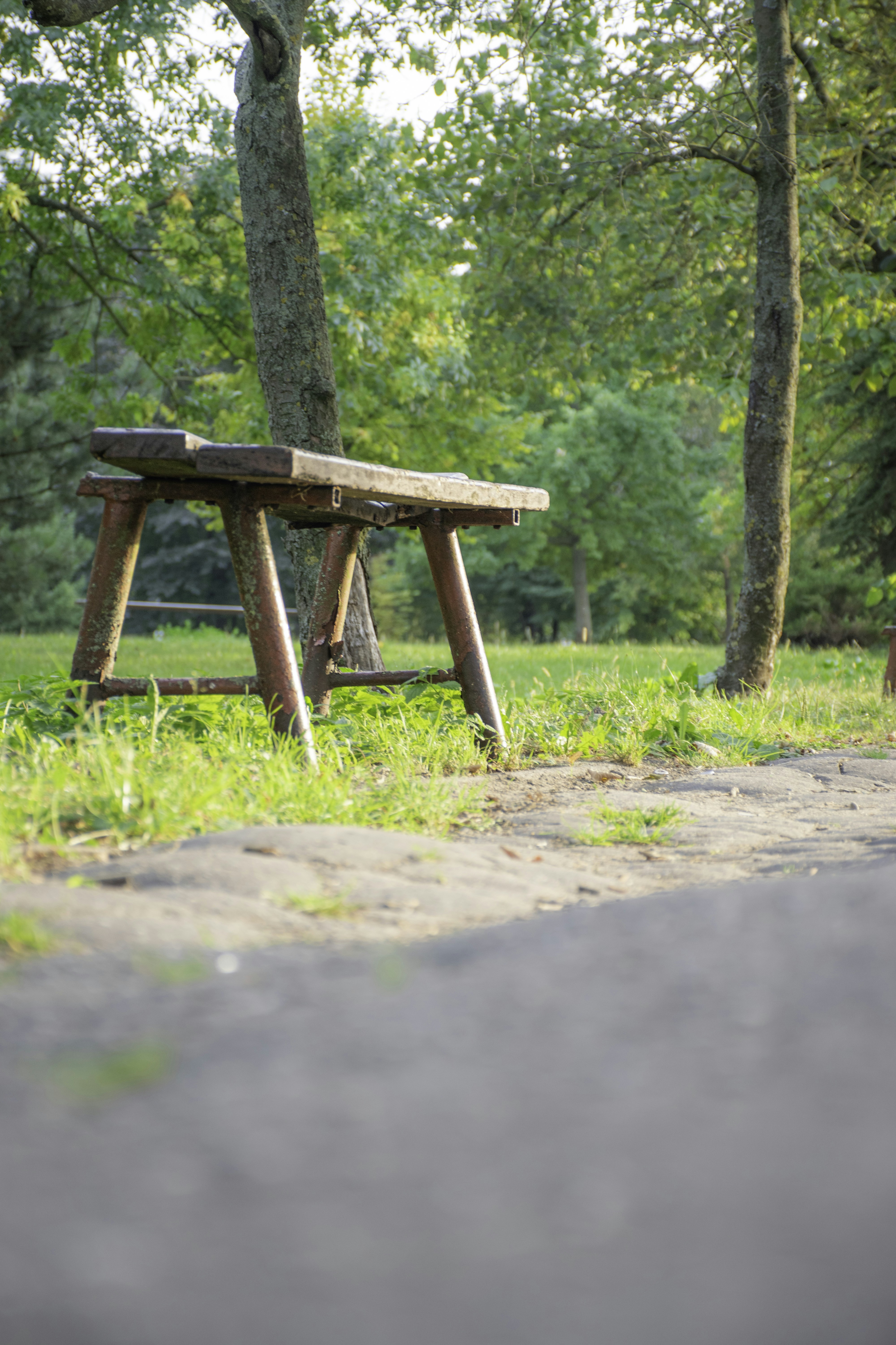 Photo by adam_skrinnikoff