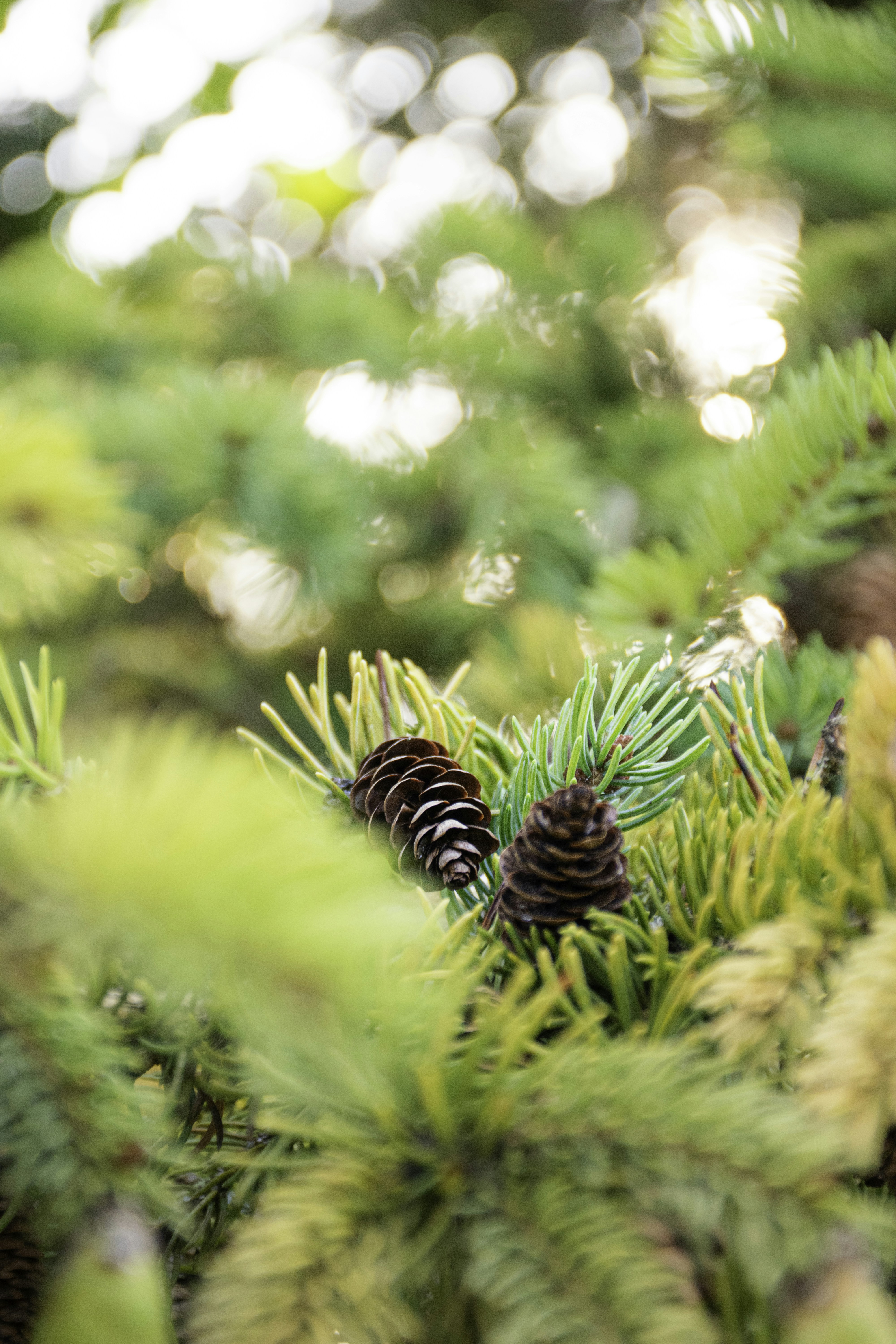 Photo by adam_skrinnikoff