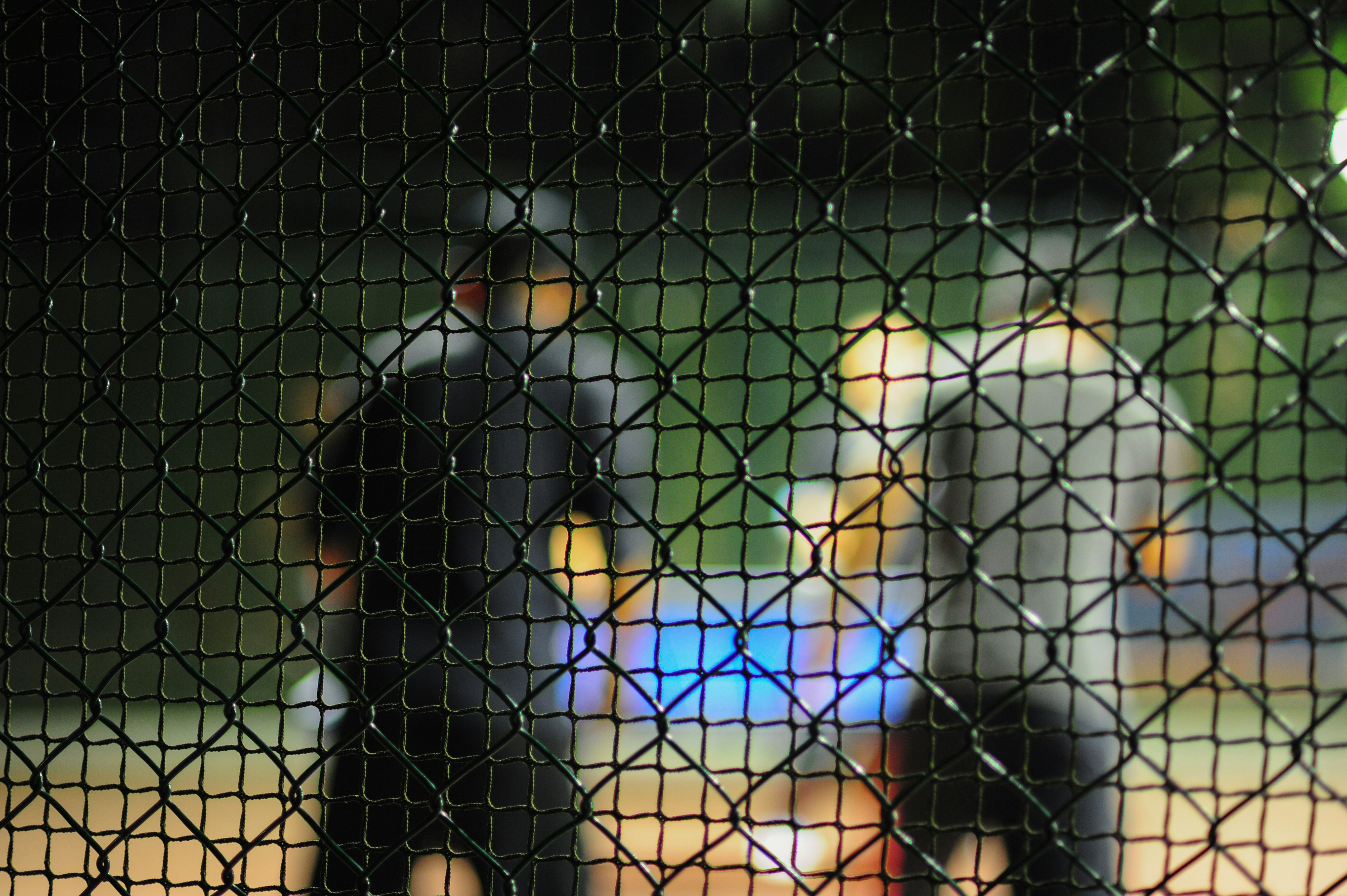 Figuras borrosas detrás de una valla por la noche