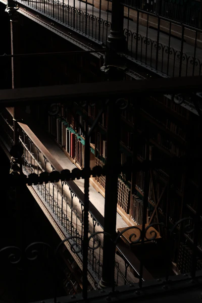 Sunlight illuminating bookshelves in a dark library