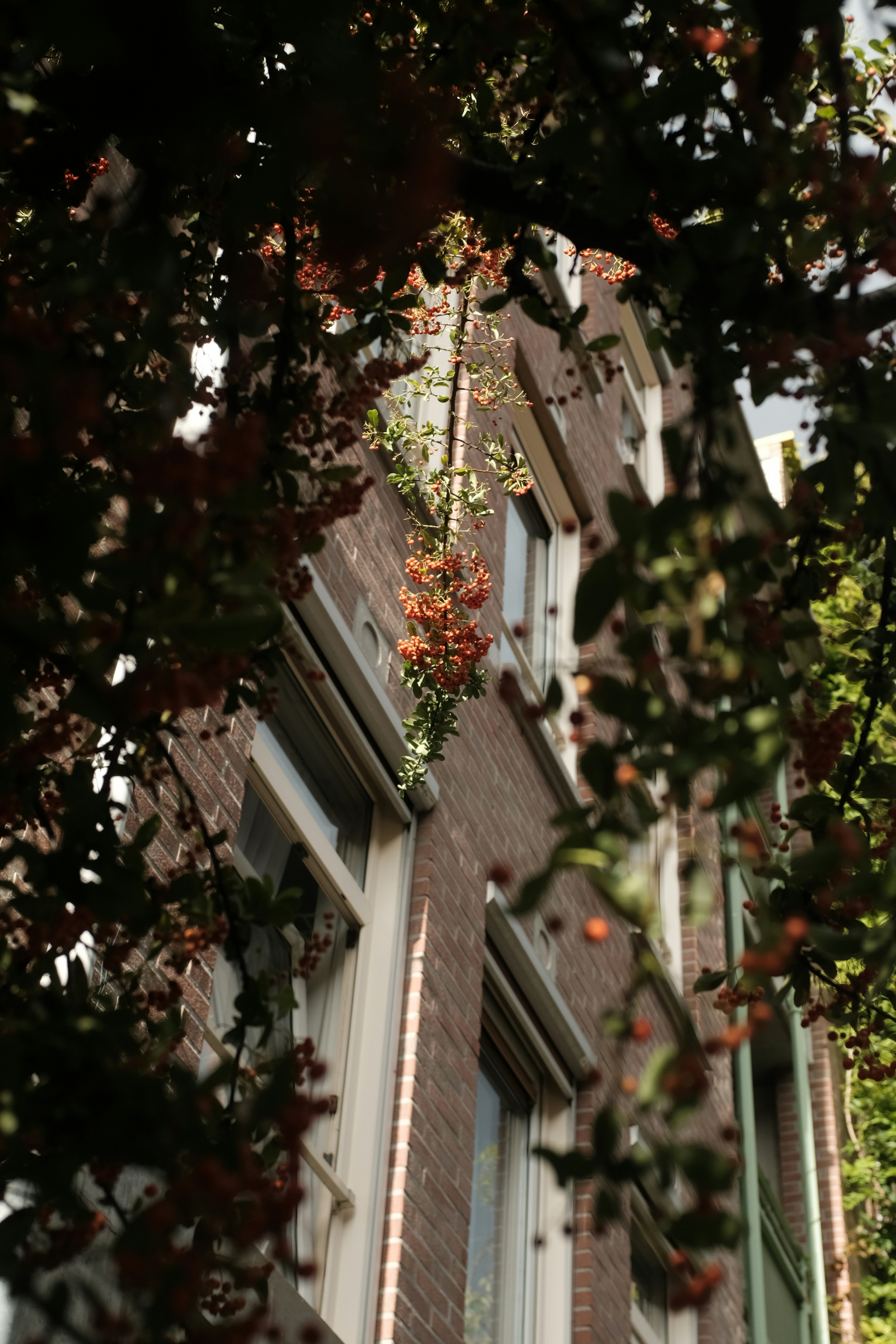 Photo by danishprakash