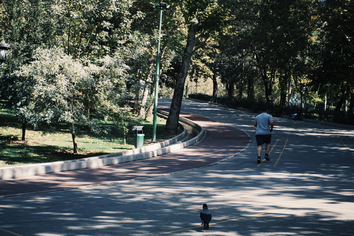 Man jogging on a path in a tree-lined park, illustrating exercise to improve erectile dysfunction.
