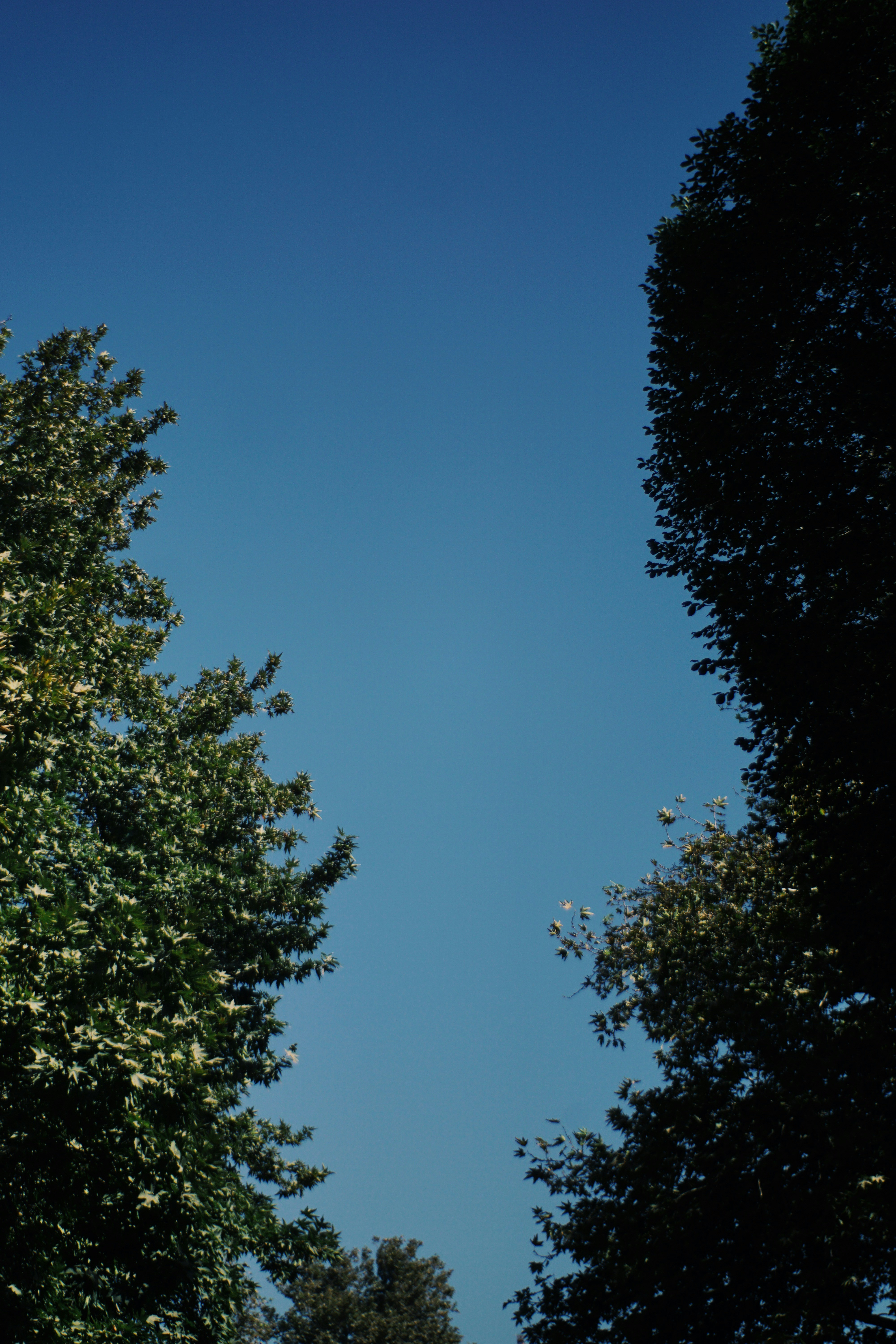 Photo by mdrezajalali