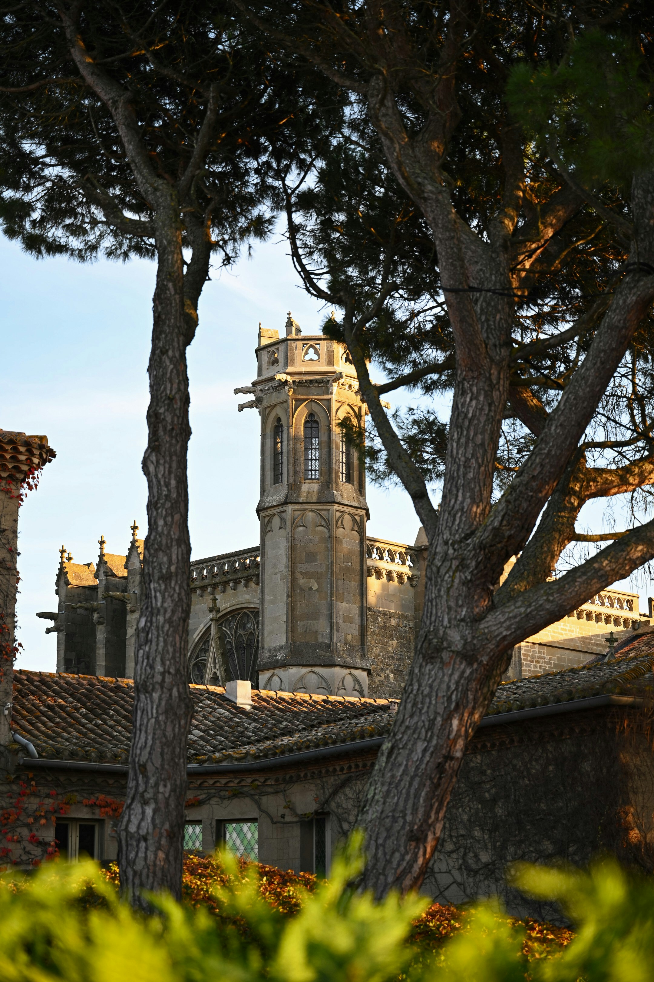 Photo by cgomreephoto