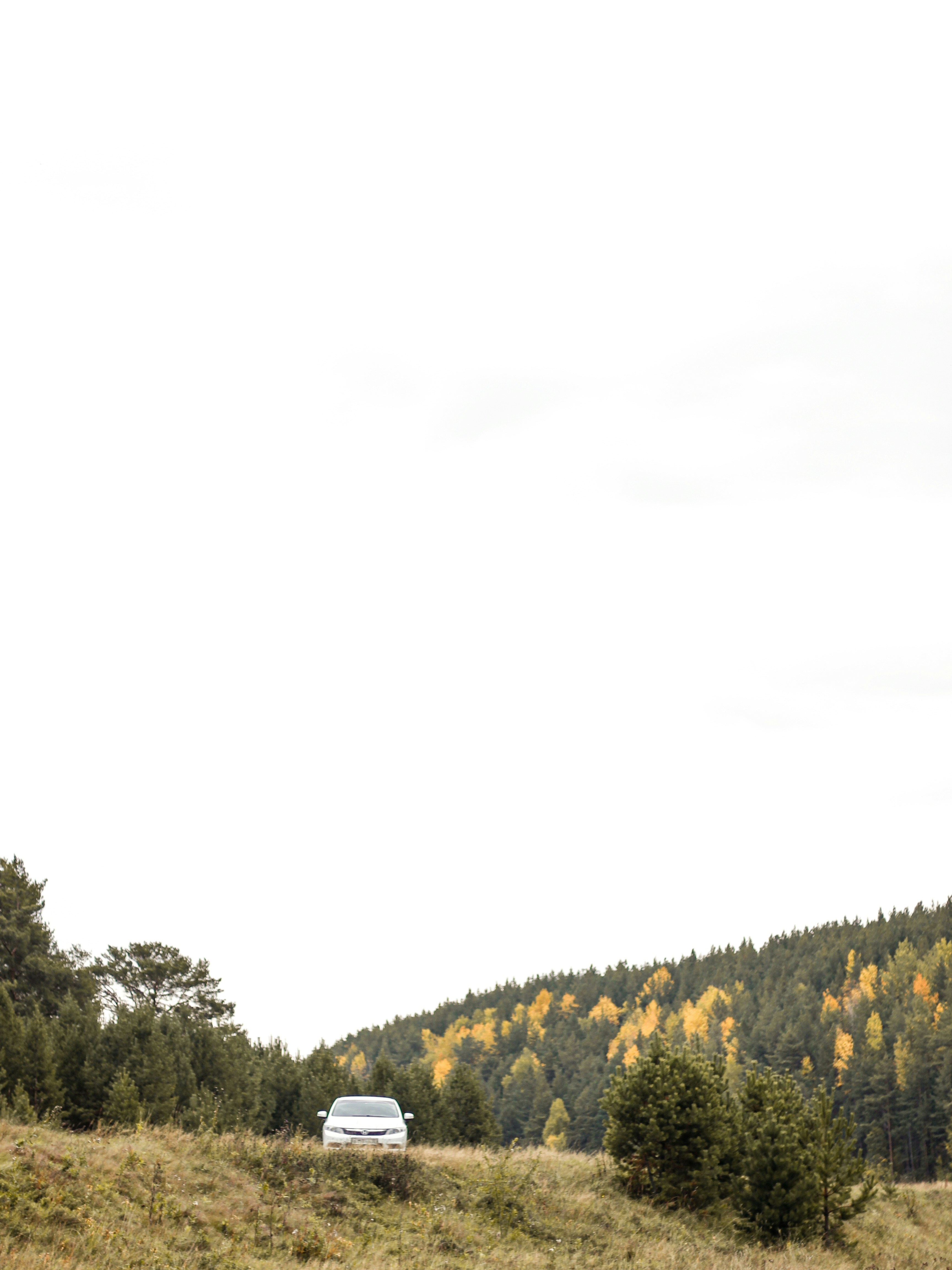 Photo by notoriety_8