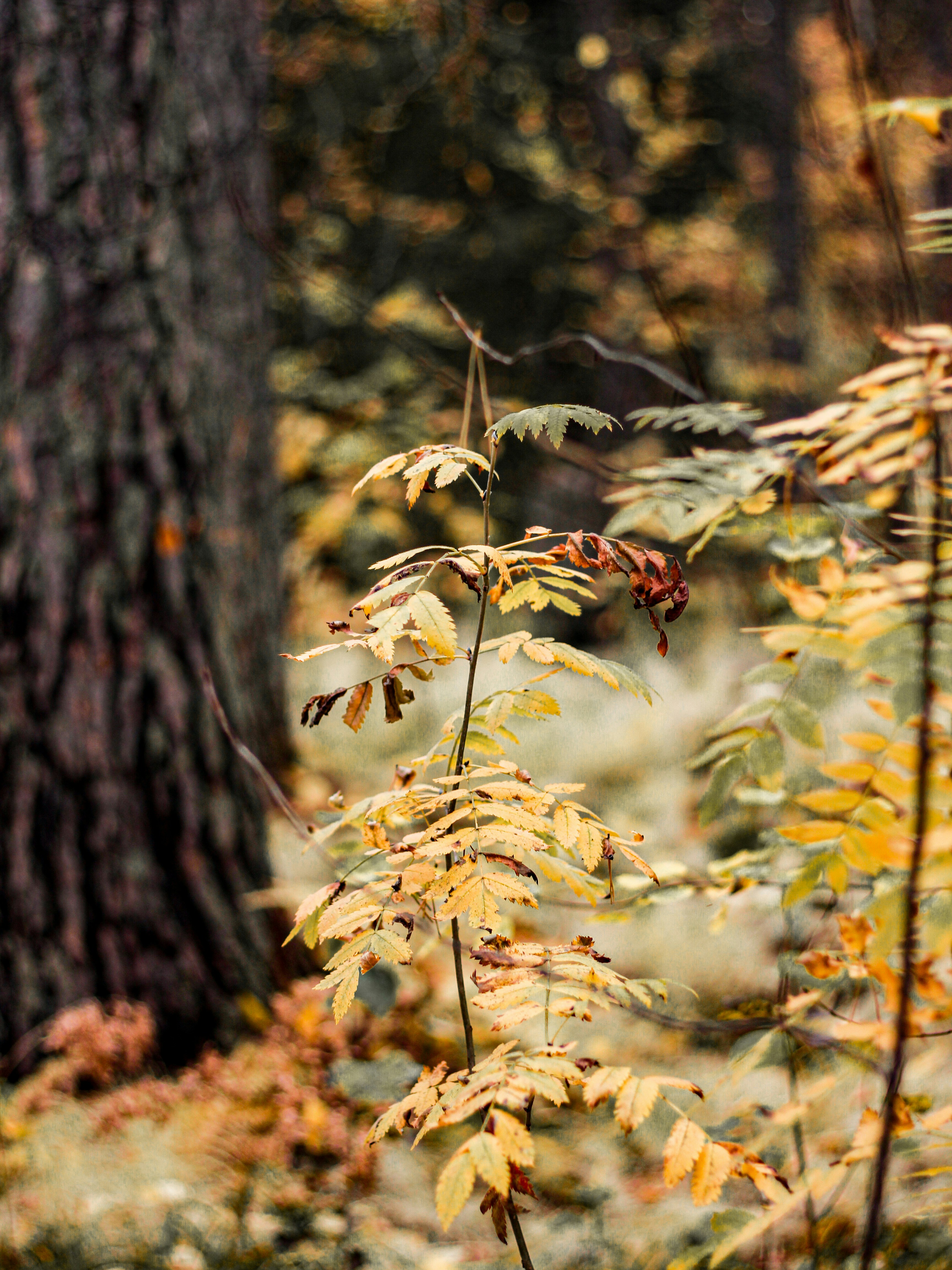 Photo by notoriety_8