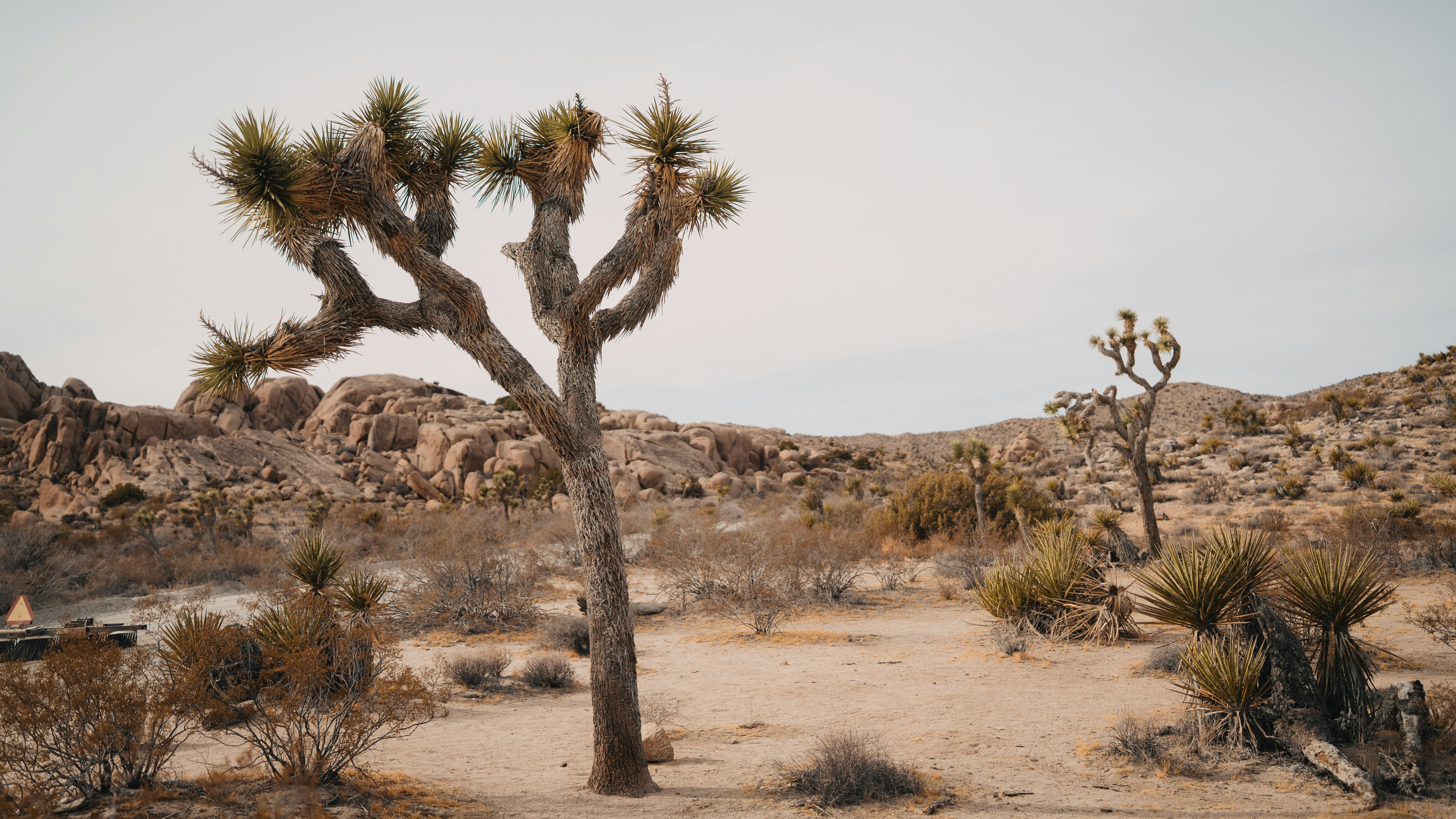 10 Facts About Railroad Cancer Lawsuit That Make You Feel Instantly The Best Mood