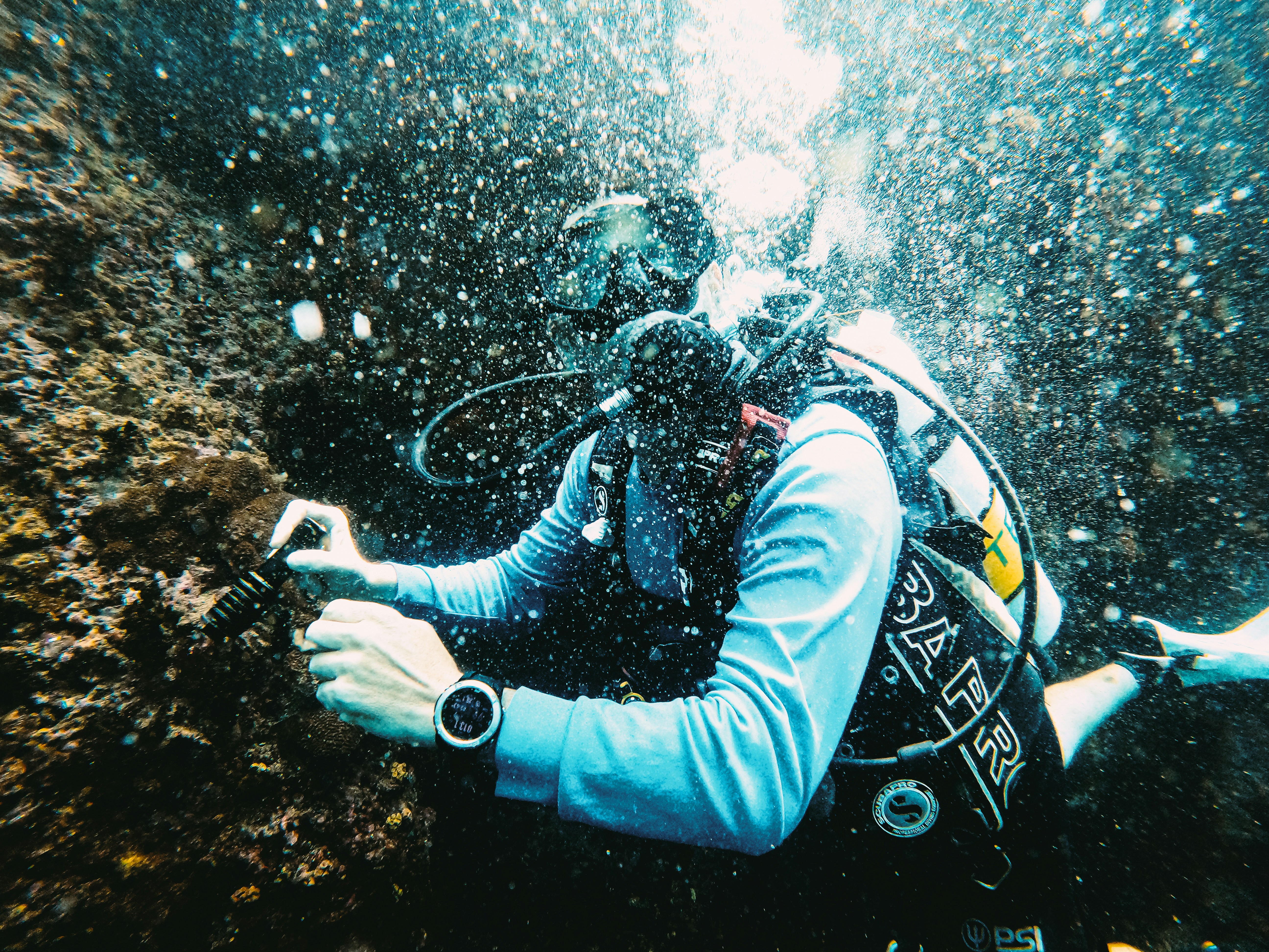 A marine biologist underwater inspects coral while holding a data slate.
