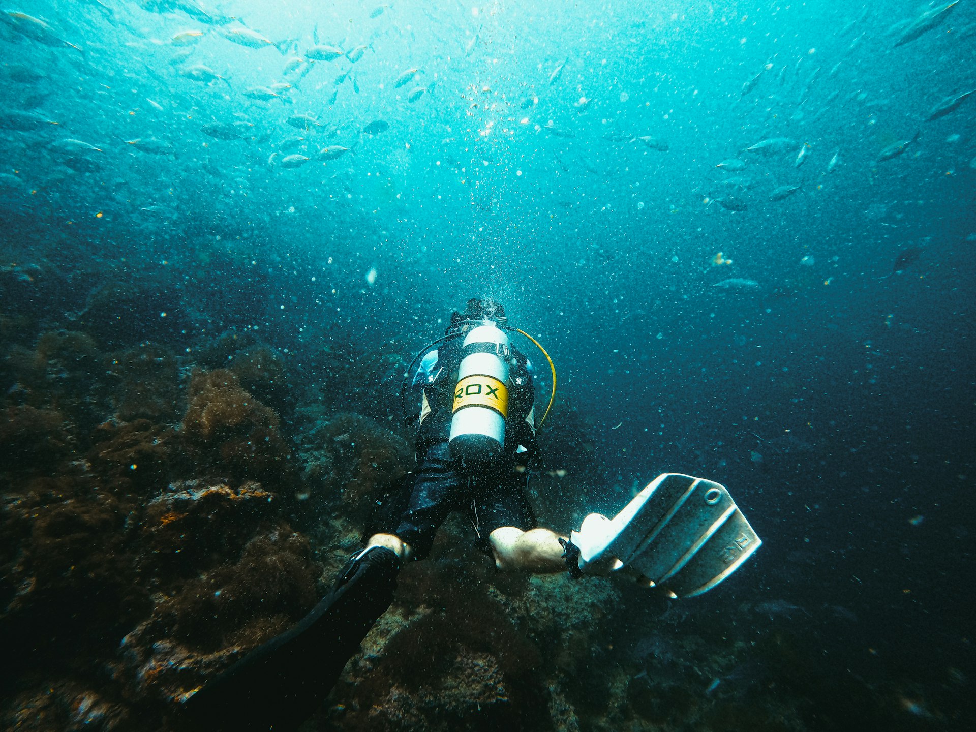 Scuba diver exploring a coral reef with fish.