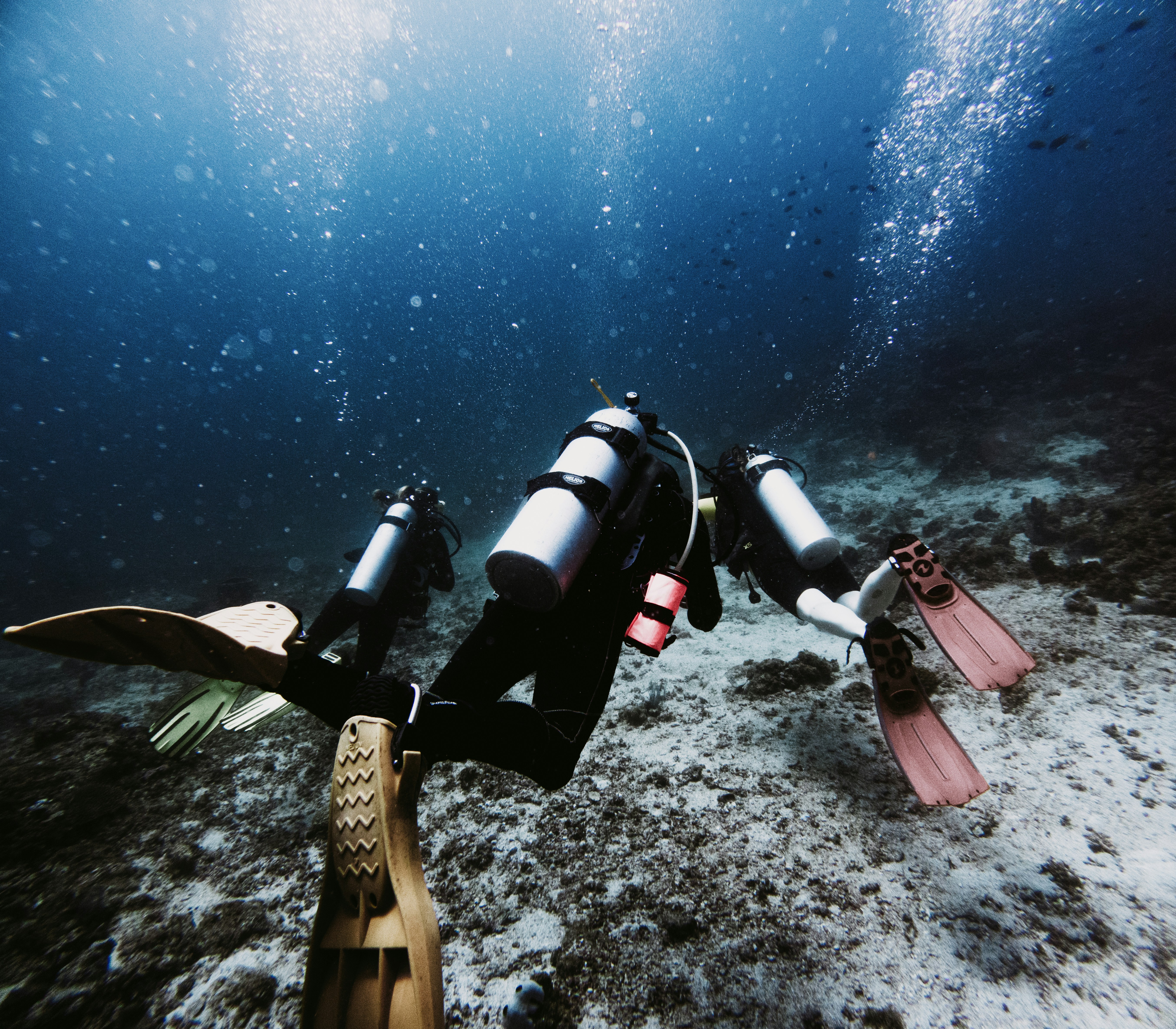 Premium Designer-Style Handbags You Can Shop Now | Beroma.shop