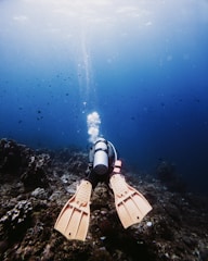 Scuba diver exploring coral reef and deep blue ocean.