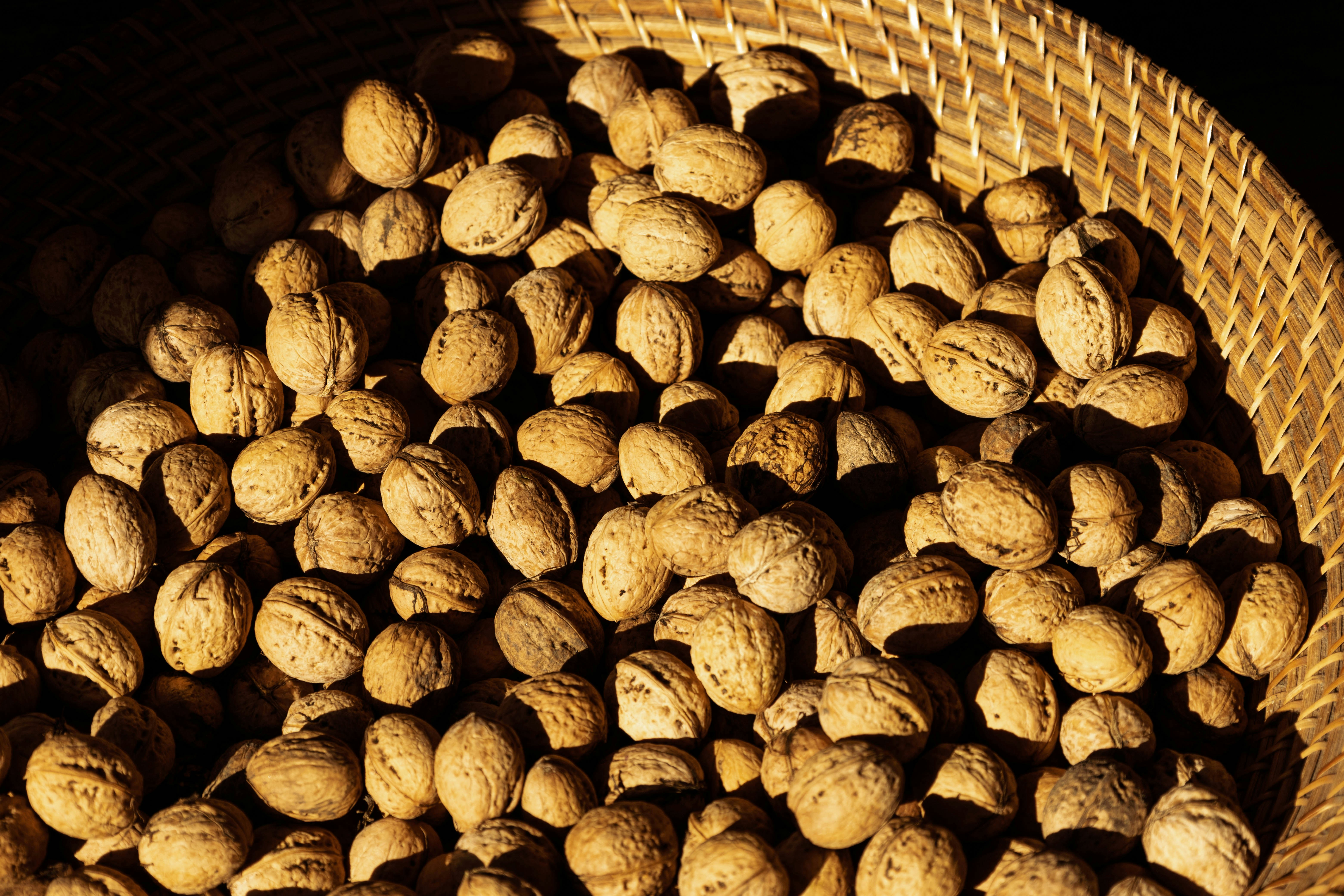 A basket overflowing with fresh walnuts.