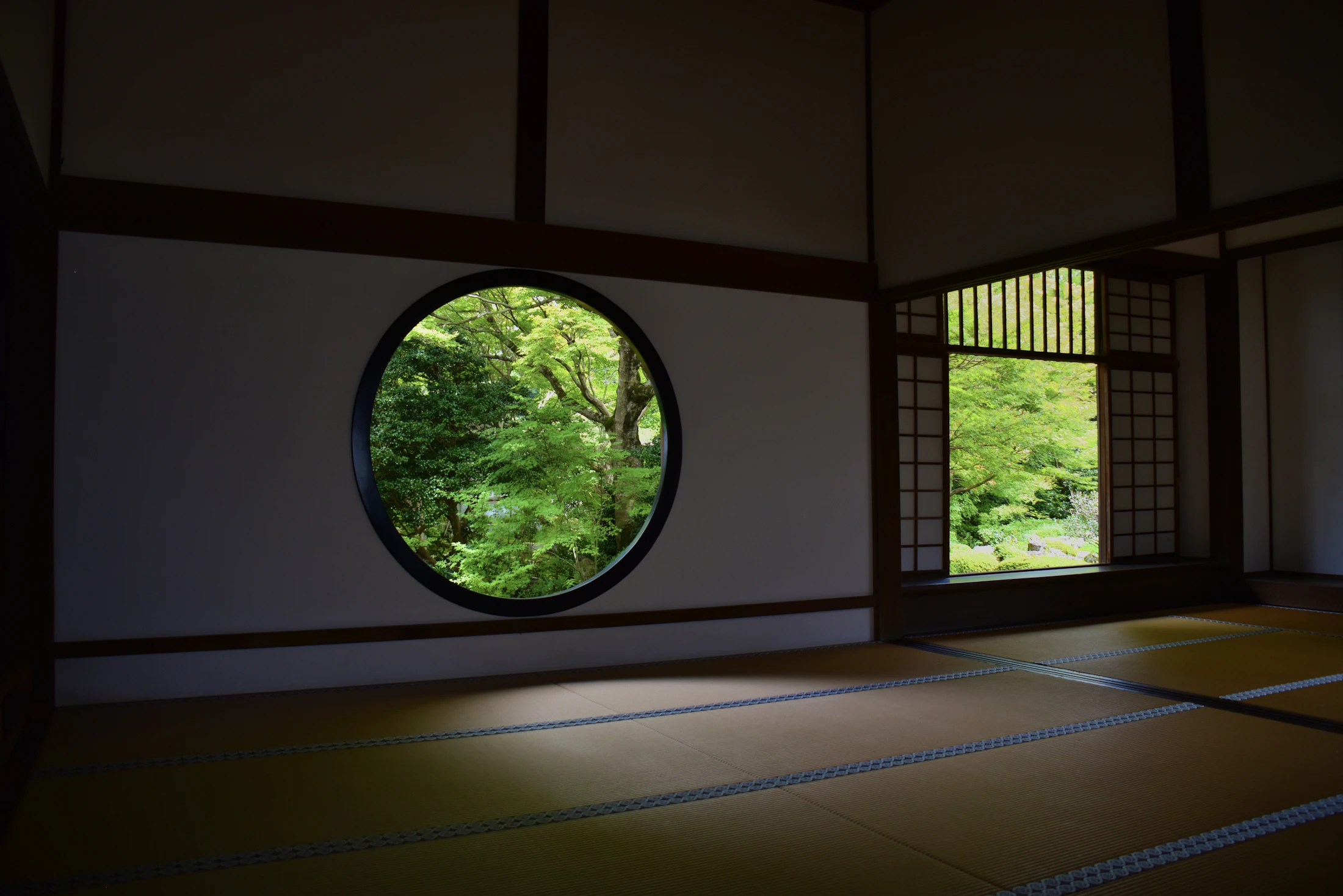 A circular window framing trees outside, light filtering through