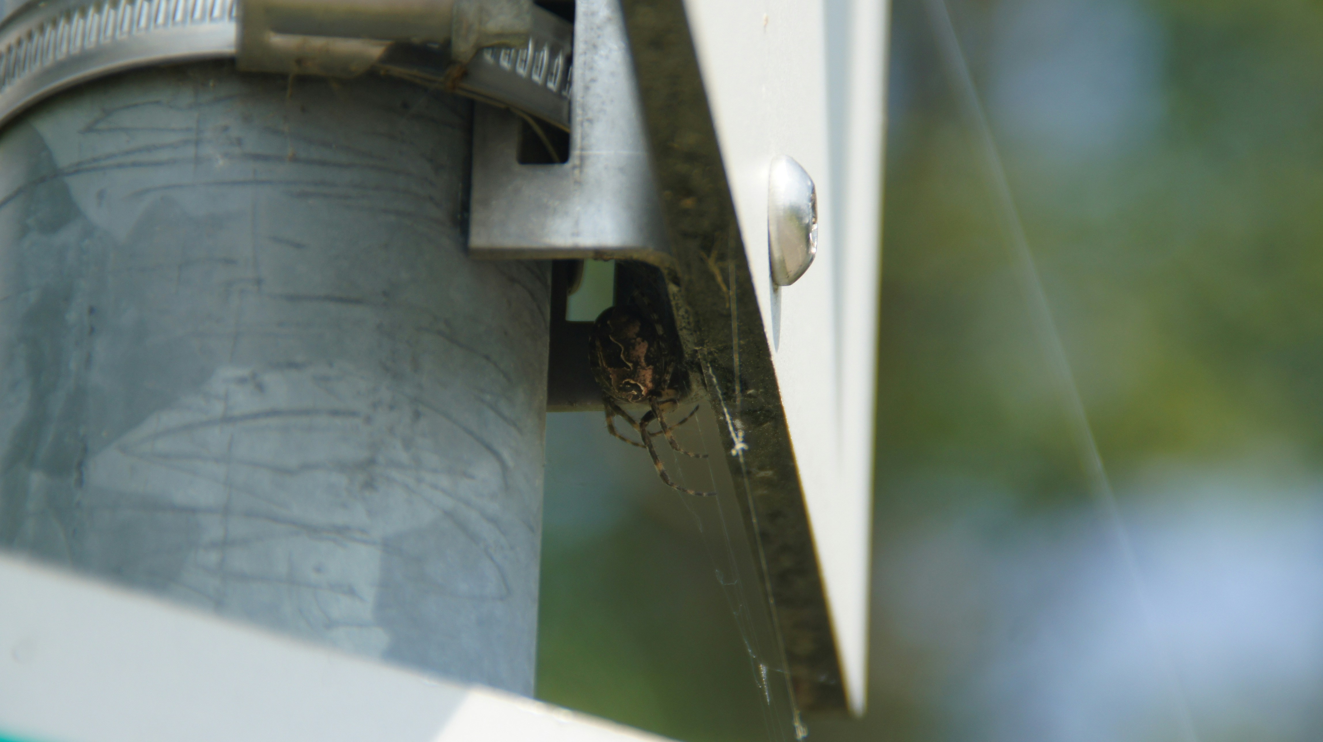 photo 1758971793160 e912c688e031?crop=entropy&cs=tinysrgb&fit=max&fm=jpg&ixid=M3w1MjQ0NjR8MHwxfHNlYXJjaHwxN3x8UGVzdCUyMENvbnRyb2wlMjBTZXJ2aWNlfGVufDB8MHx8fDE3NjAyNTIyNjl8MA&ixlib=rb 4.1