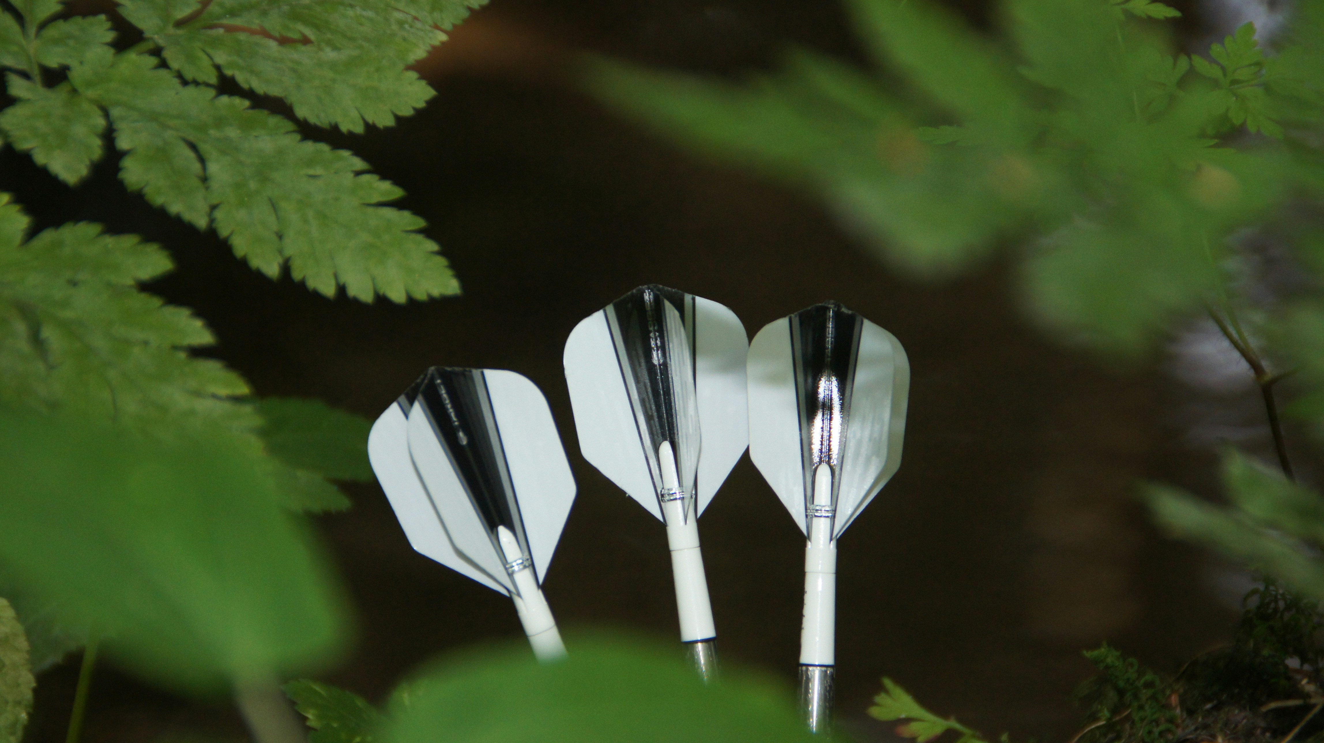 Three darts with white and black flights stand upright against a soft natural background. Green leaves frame the scene, adding a fresh, outdoor atmosphere. The metallic shine of the darts contrasts with the earthy tones of nature. It feels like a hidden setup in the forest, mixing sport and wilderness.
