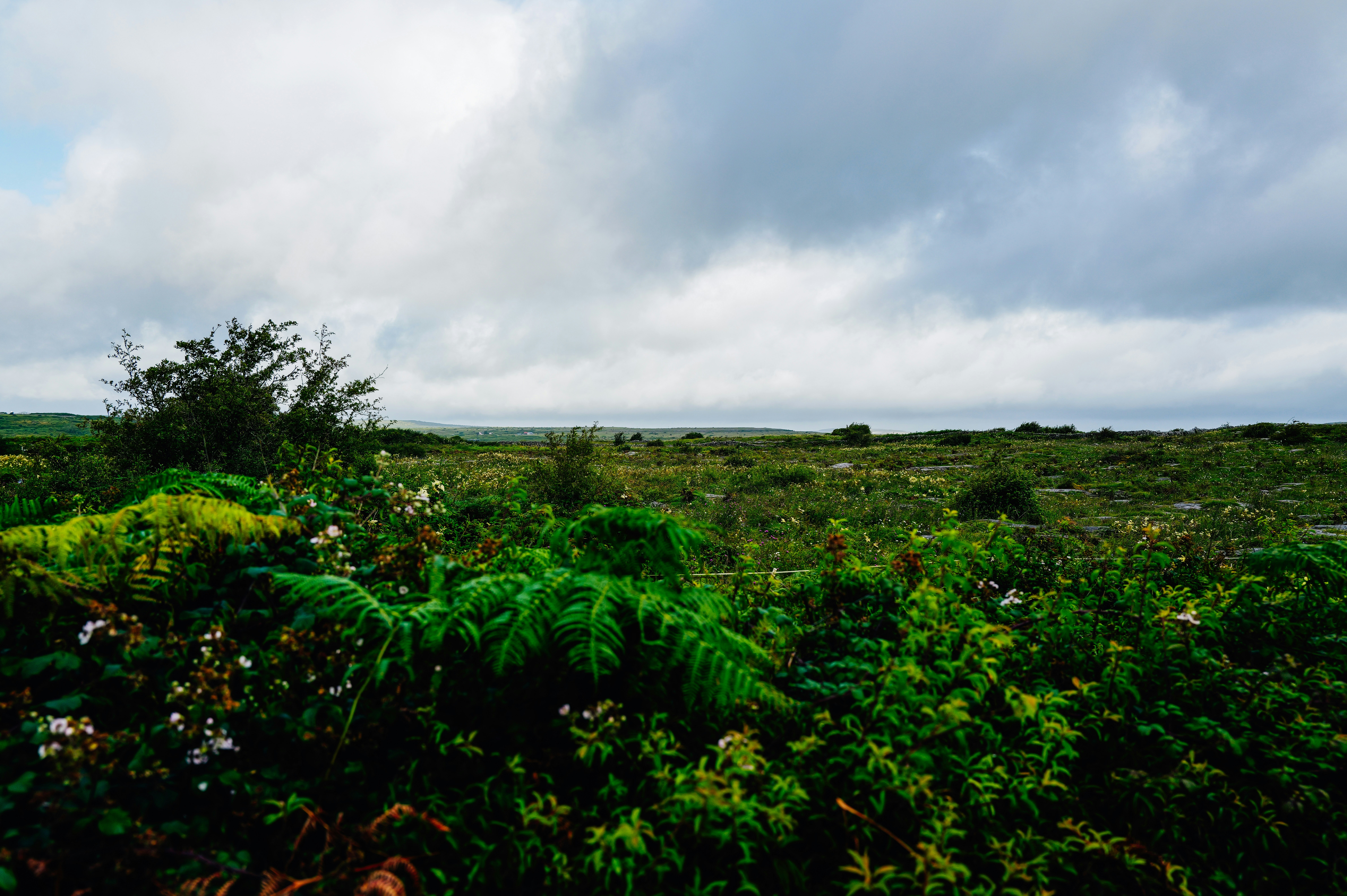 Photo by adrienolichon