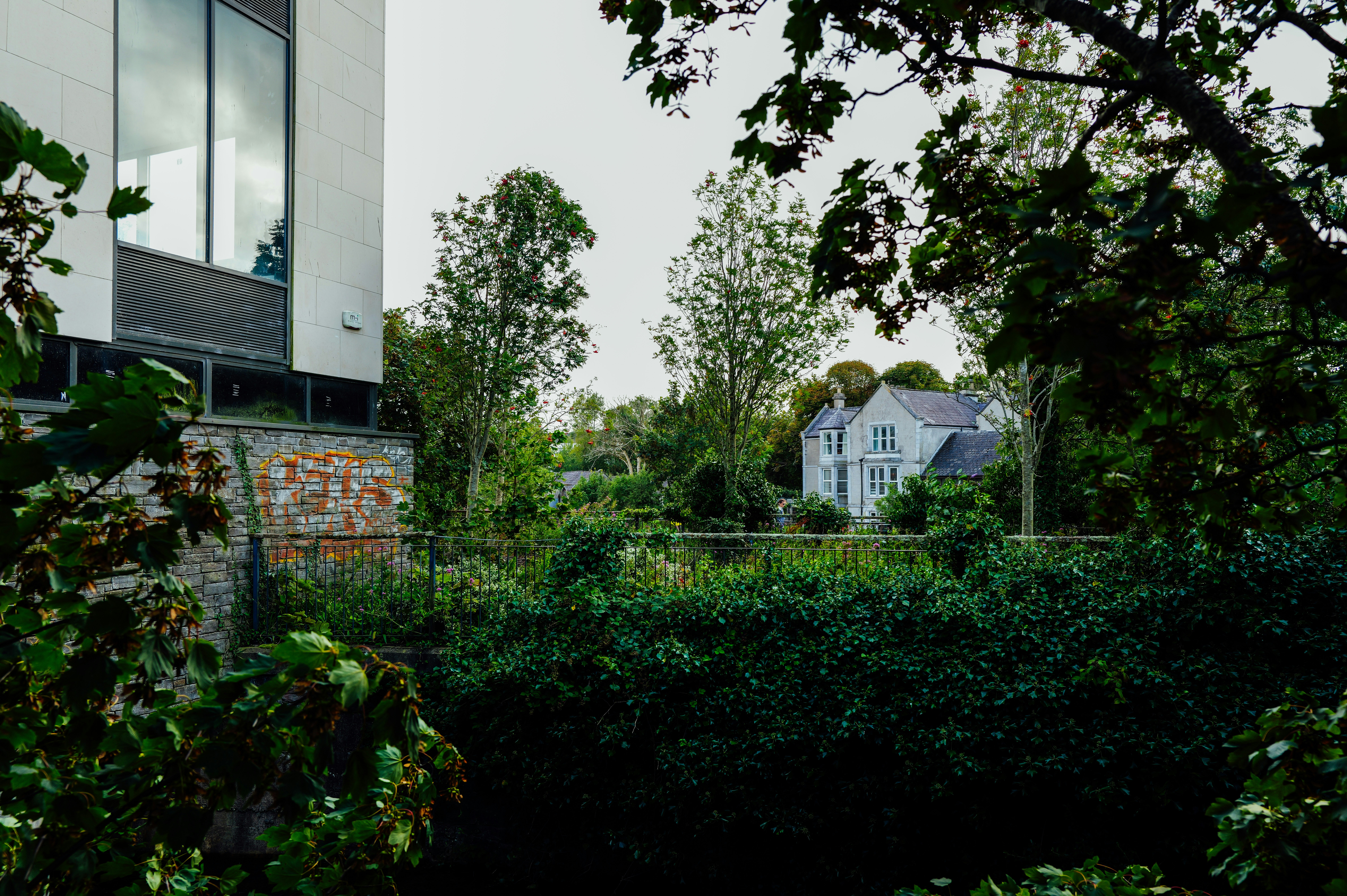 Photo by adrienolichon