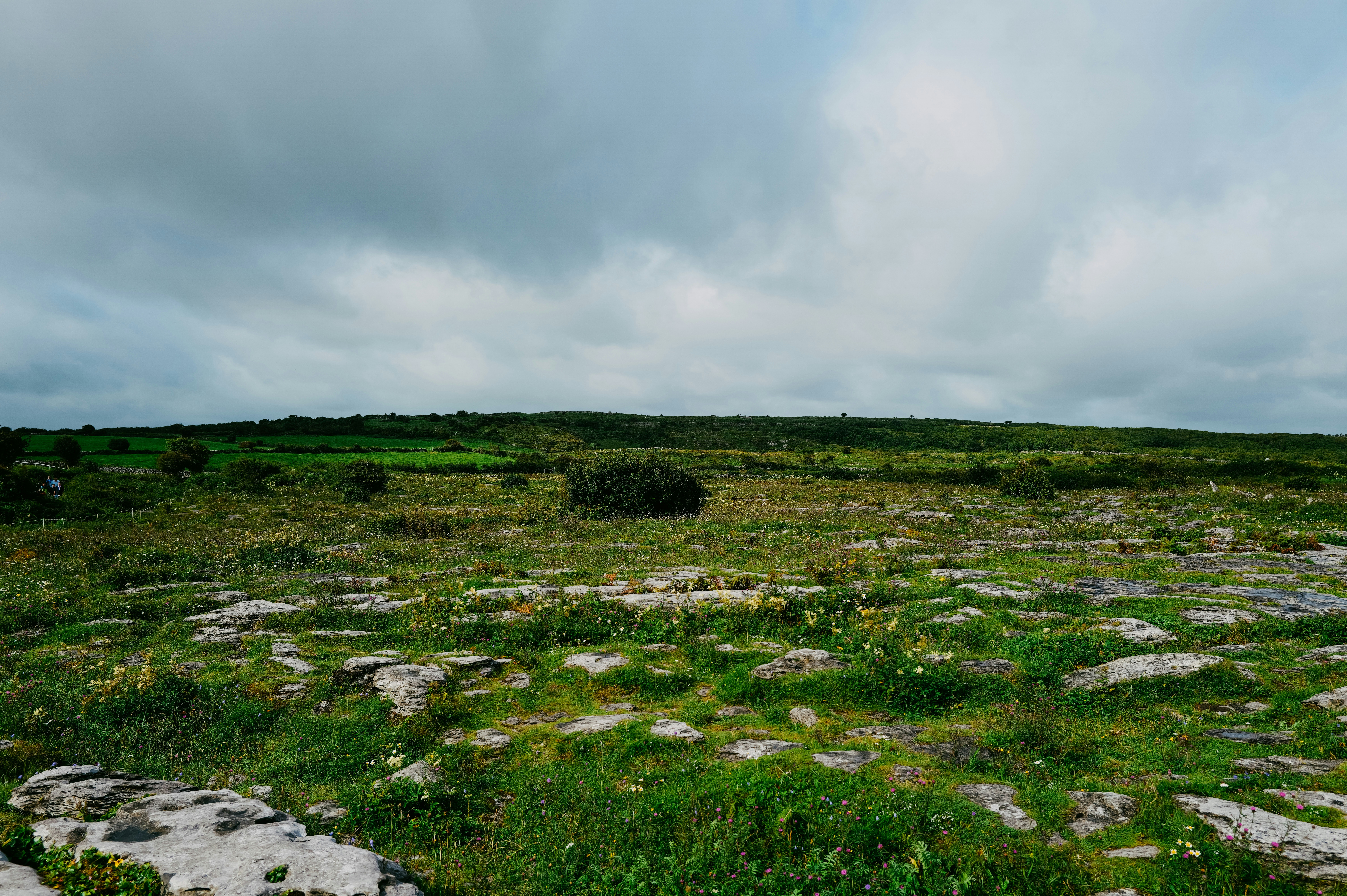 Photo by adrienolichon