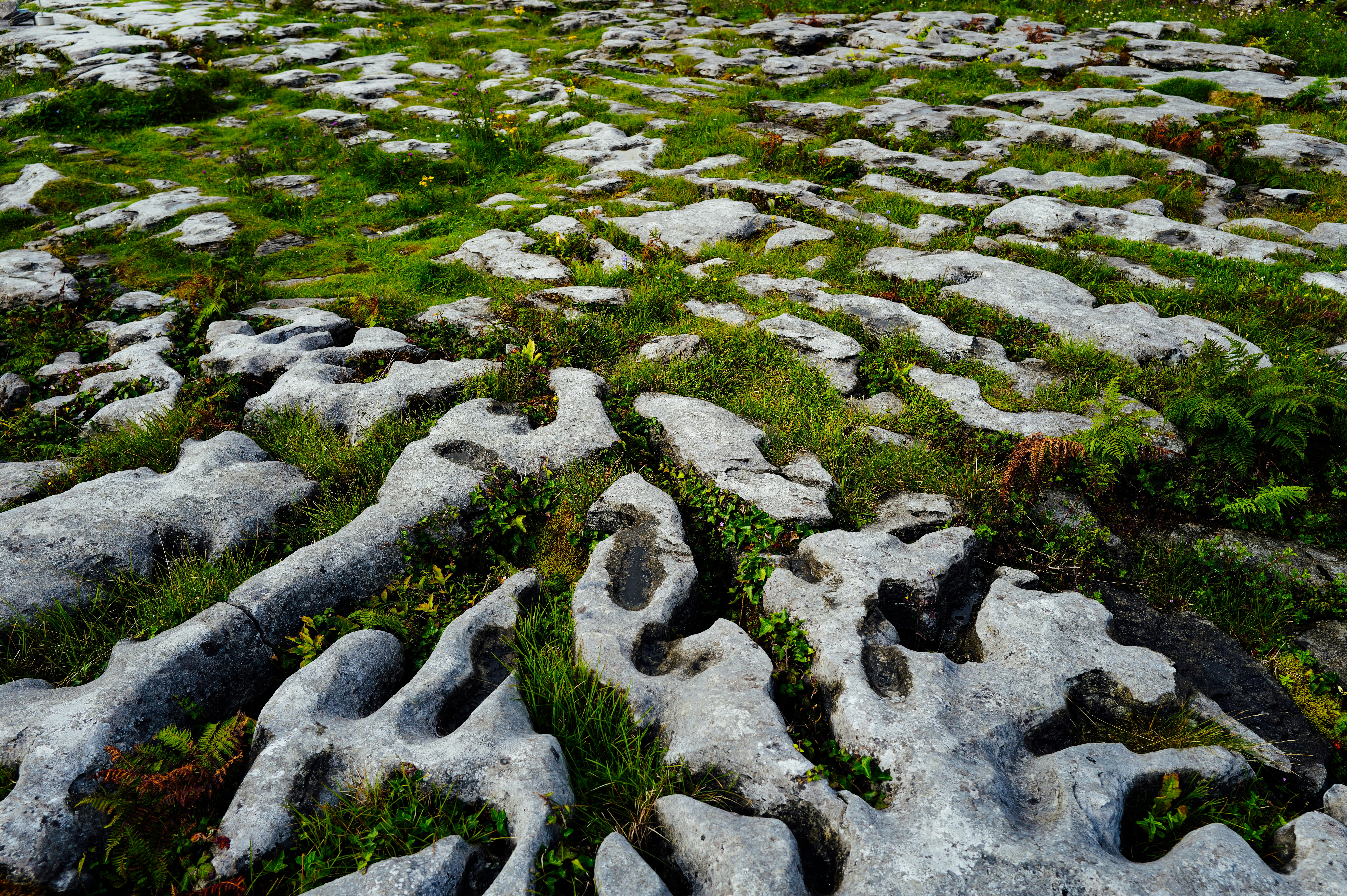 Tsingy limestone karst Madagascar