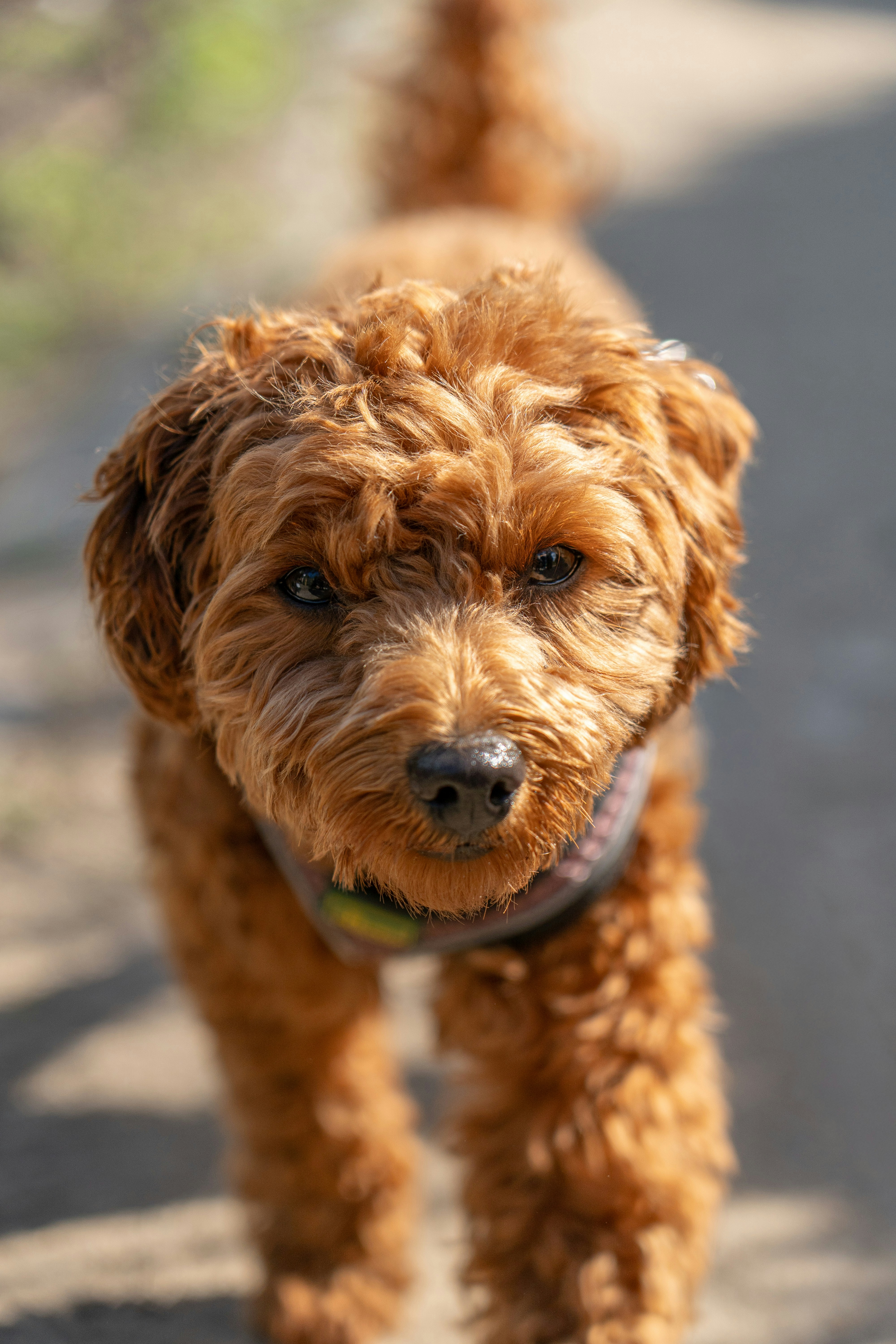 Photo by samuel_hagger