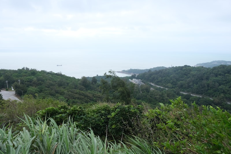 Garden Route lush coastal forest and sea