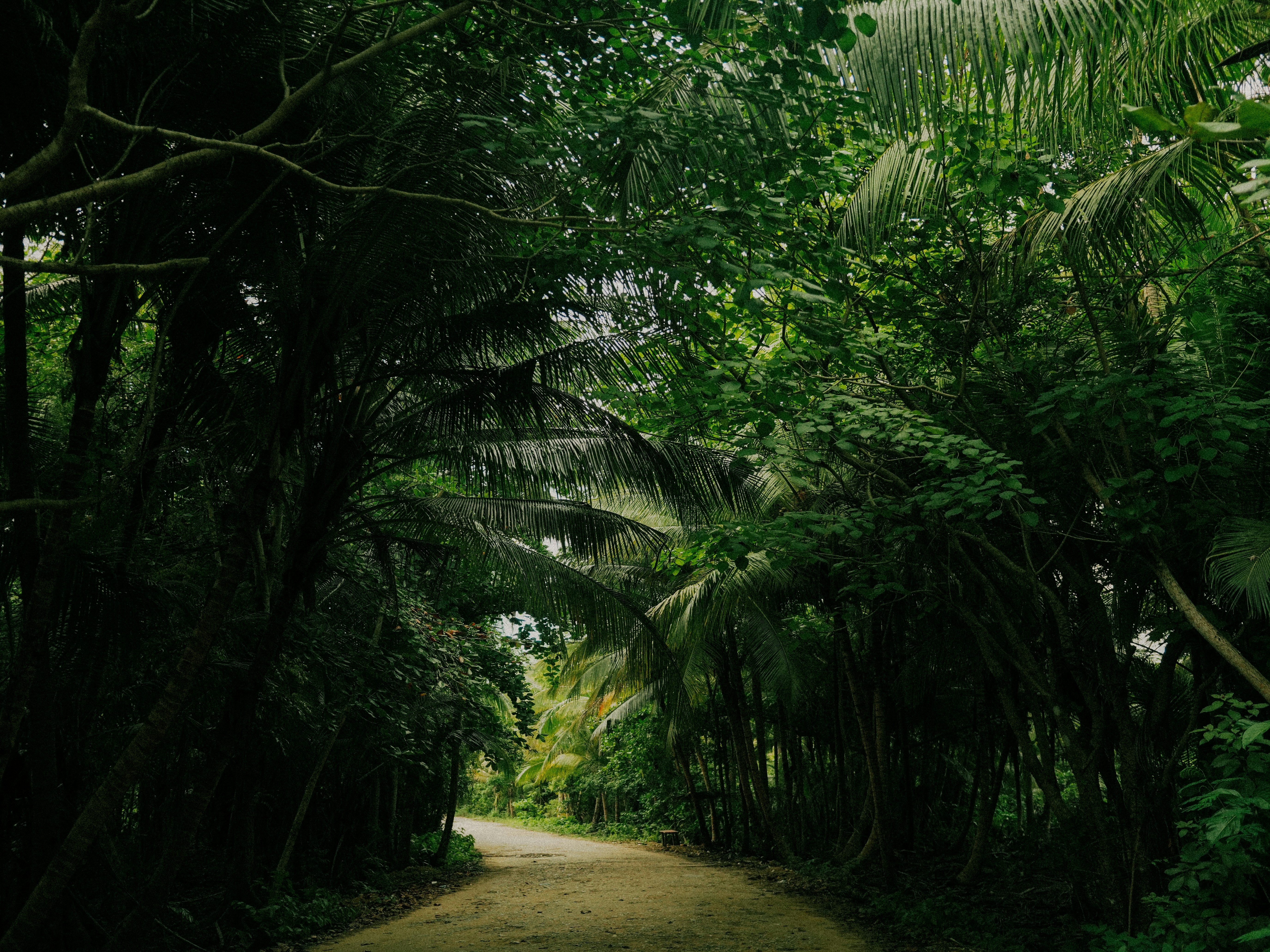 Photo by ubierajosias